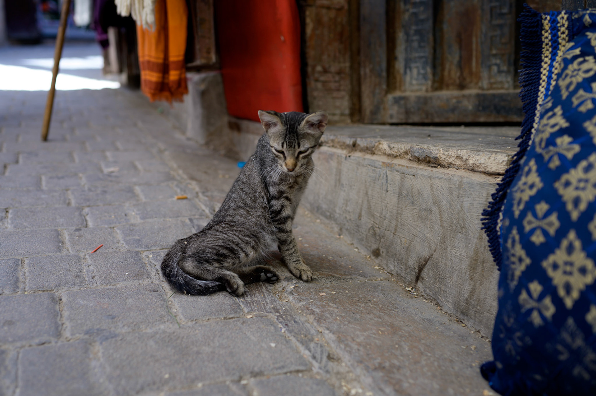 Waking from a nap, time to do..... something...