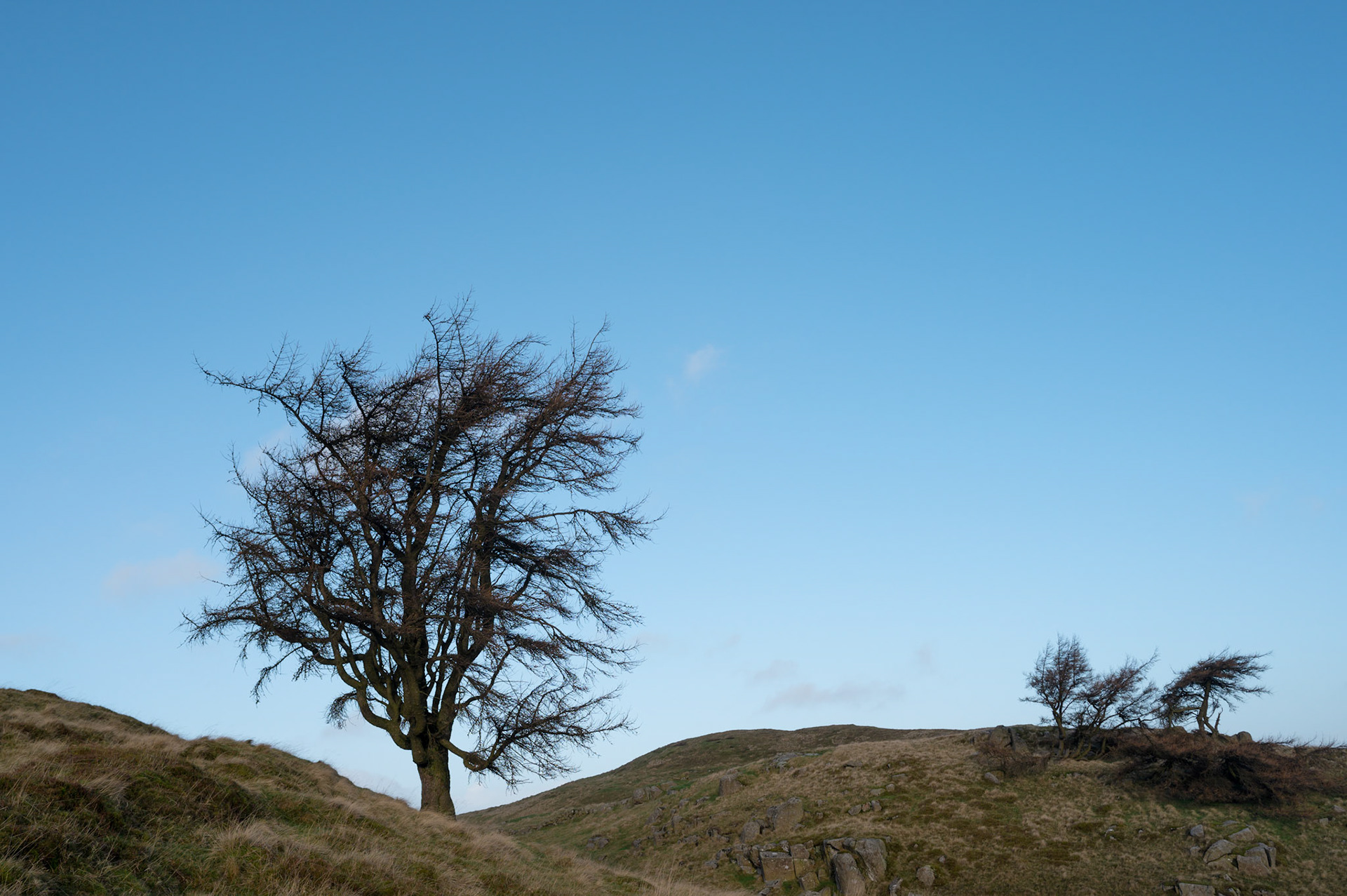 Day hike with Alison Clark