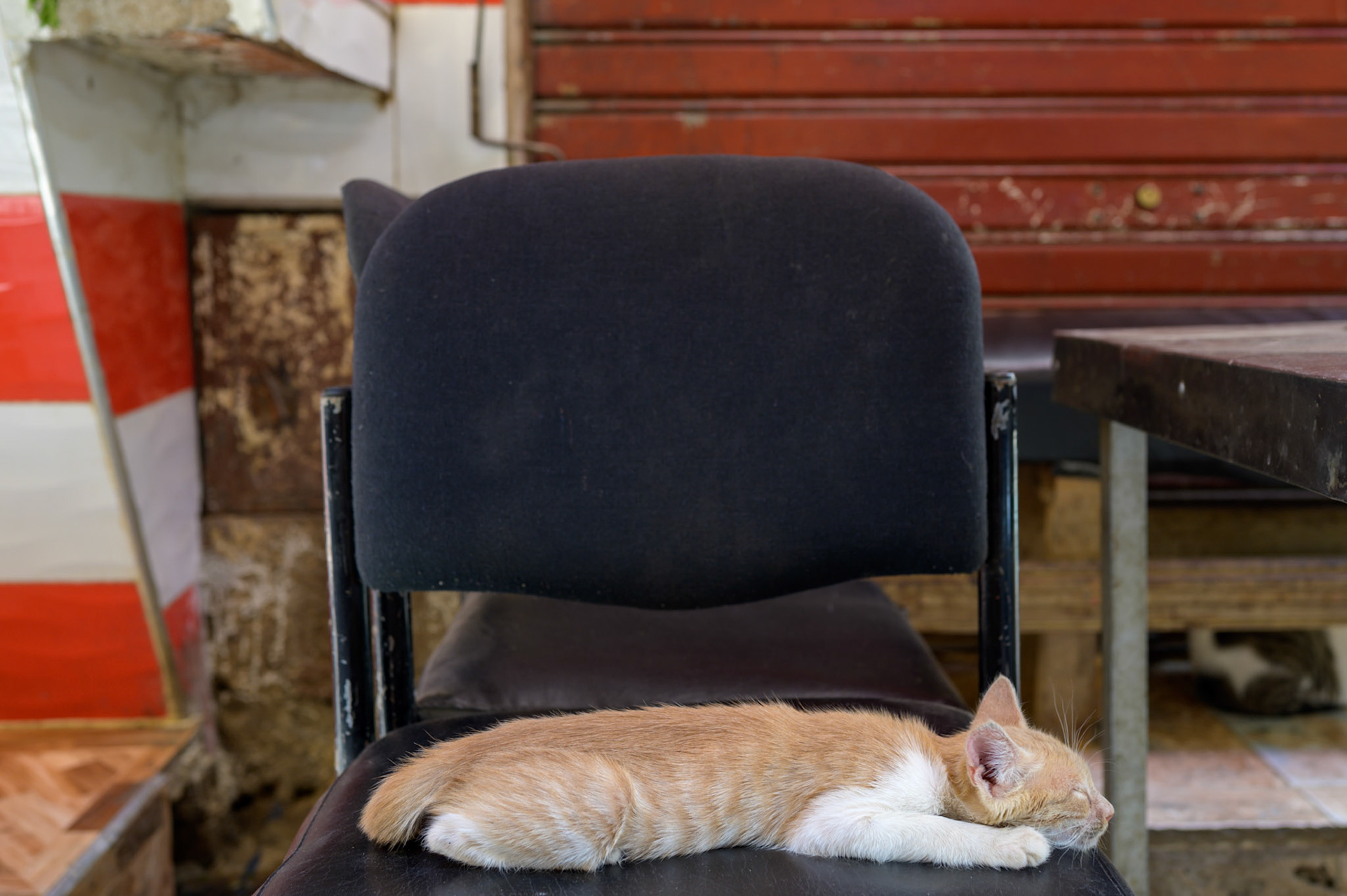 Afternoon nap. The midday nap was hard work.