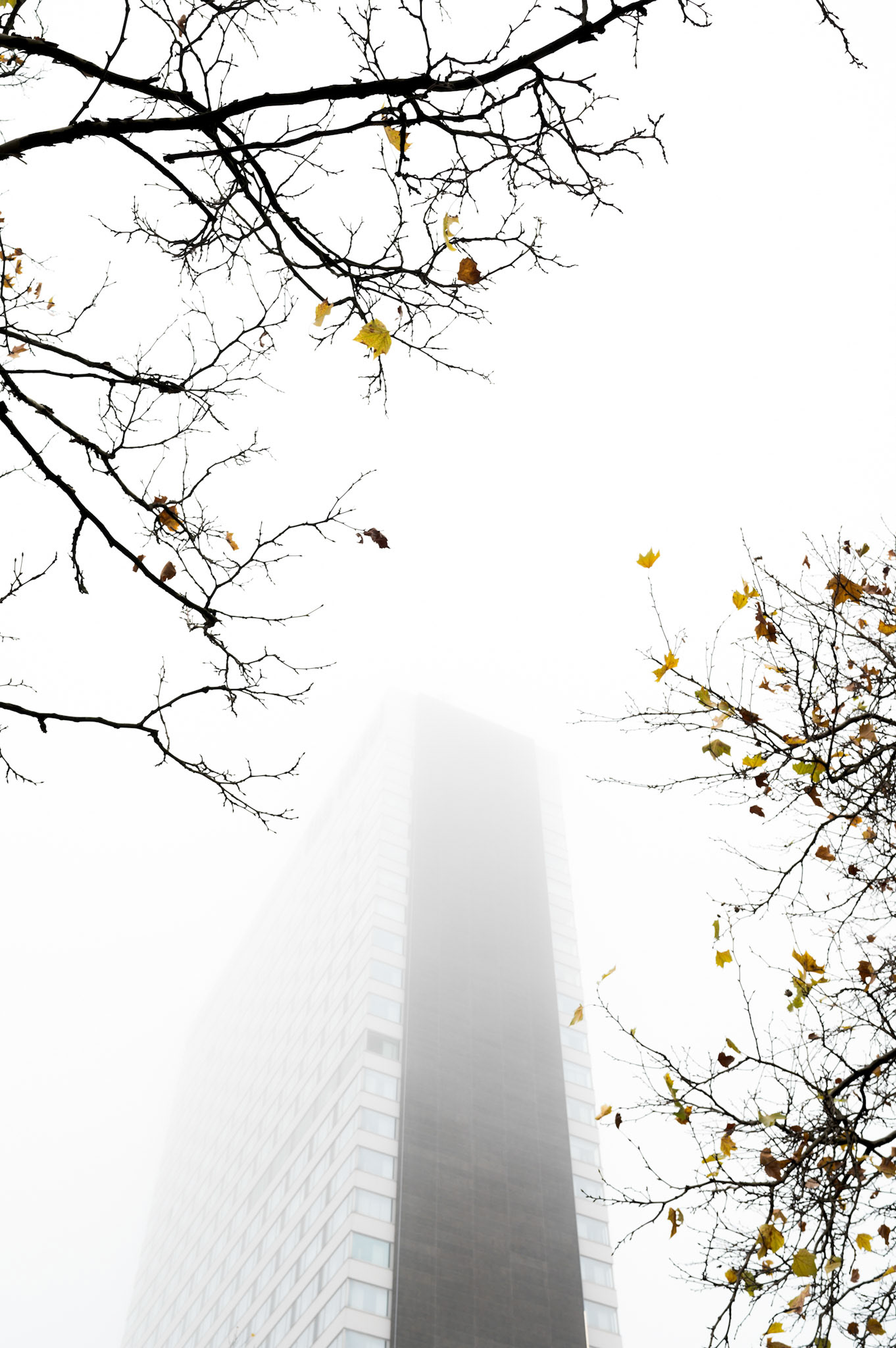 The Hotel - Brussels