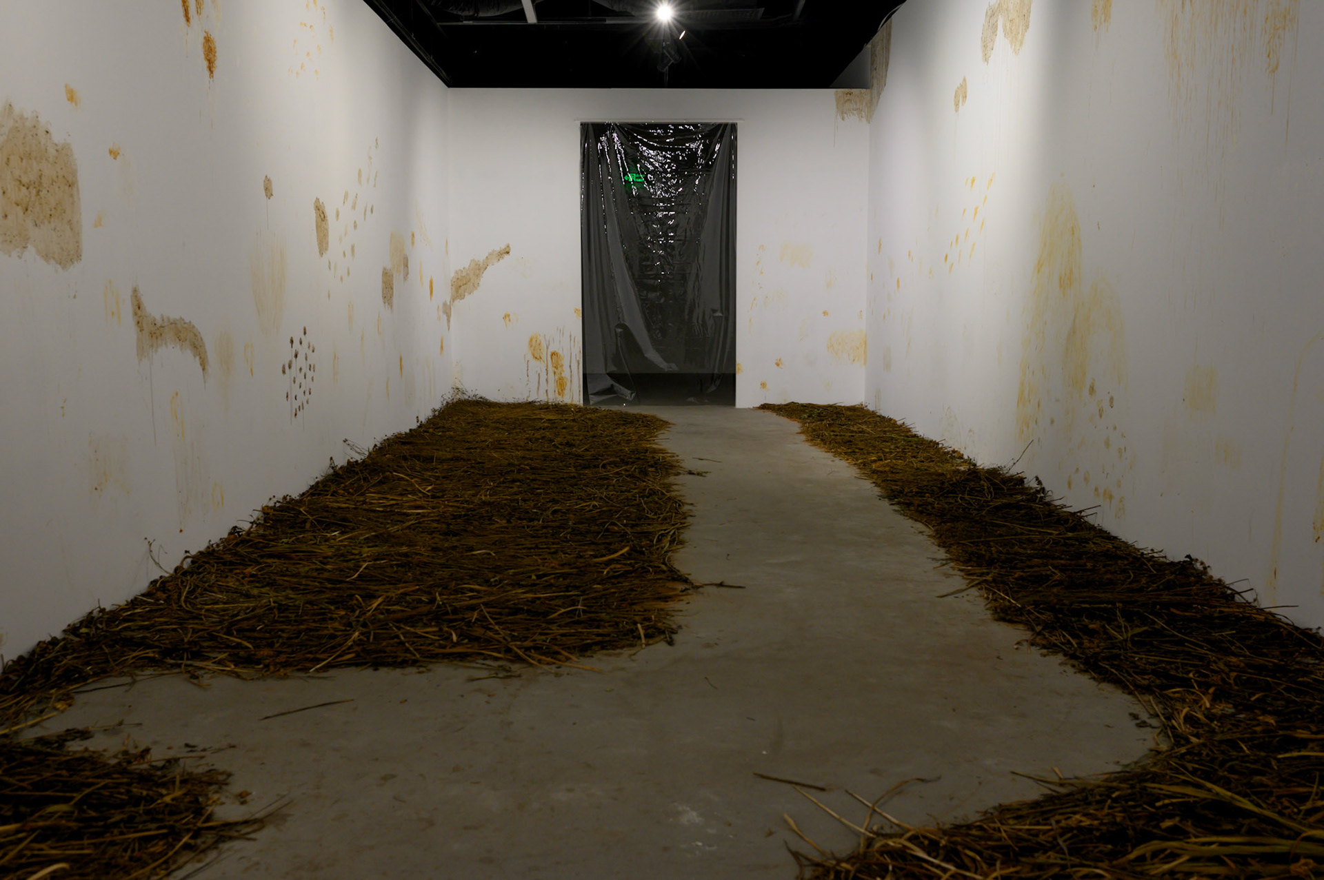 Foliage 2020 exhibition