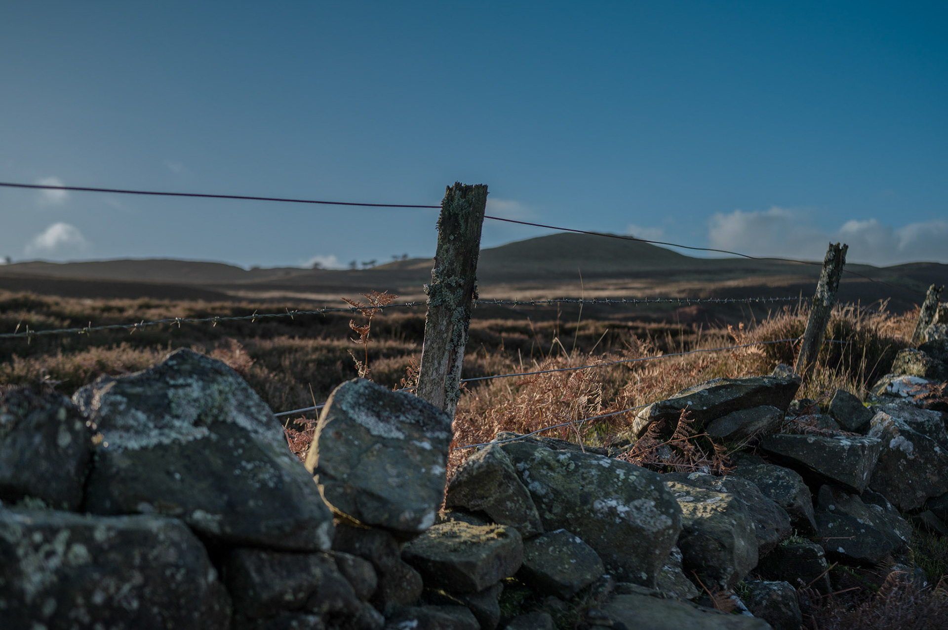 Day hike with Alison Clark