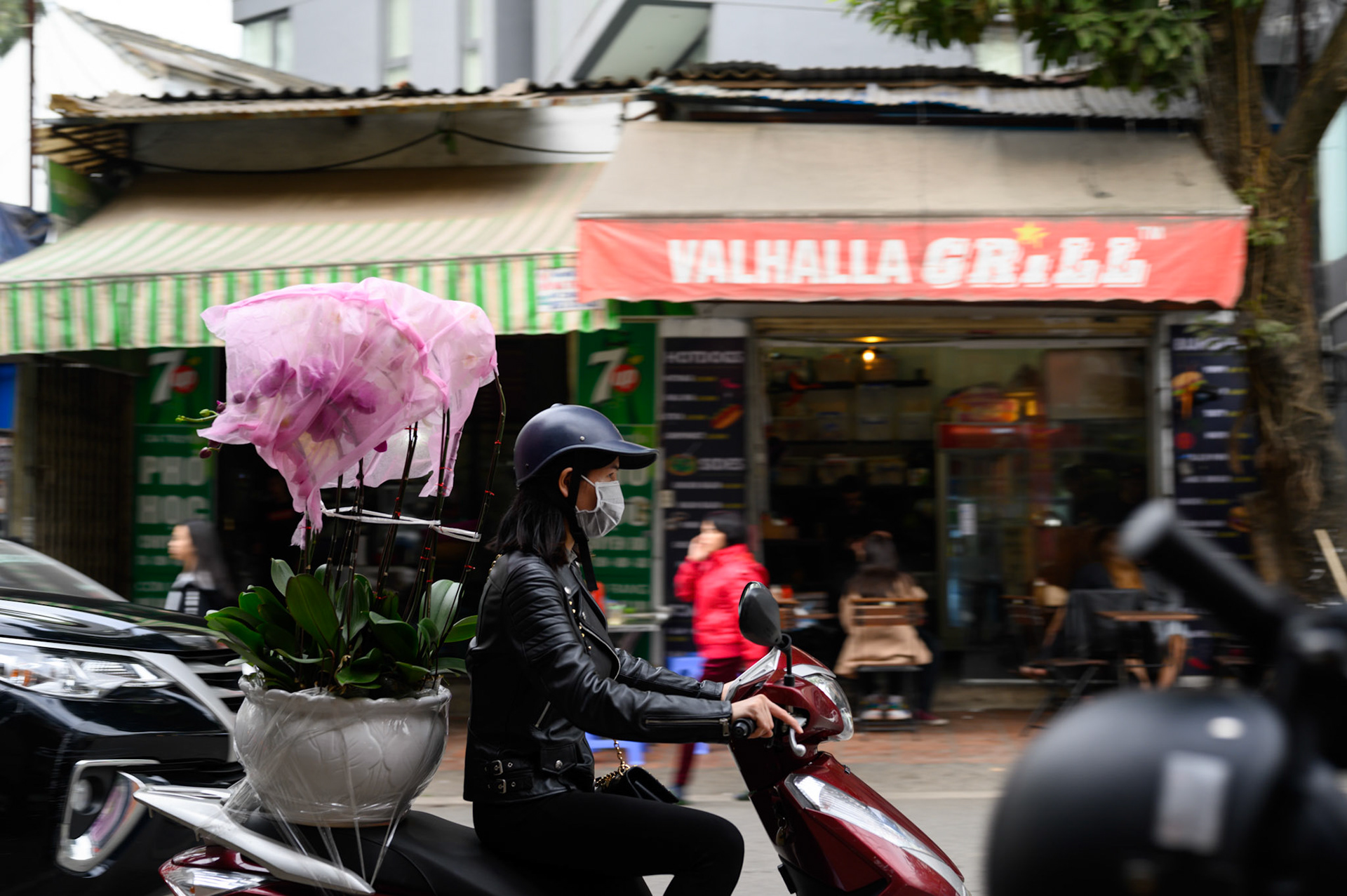 The day before Tet (Vietnamese new year) starts, the streets are a constant procession of trees - all sizes - tied to motocycles.