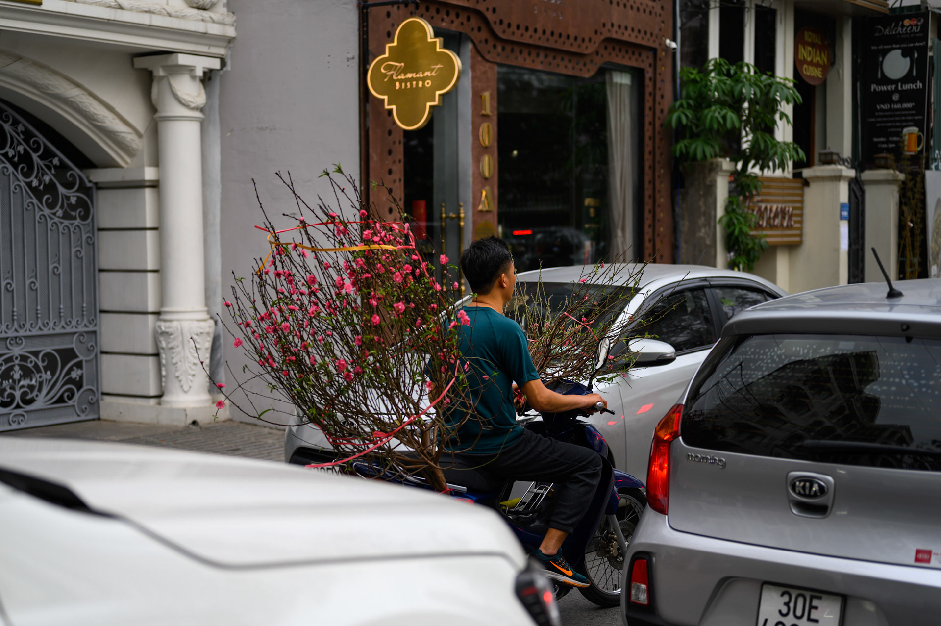 The day before Tet (Vietnamese new year) starts, the streets are a constant procession of trees - all sizes - tied to motocycles.