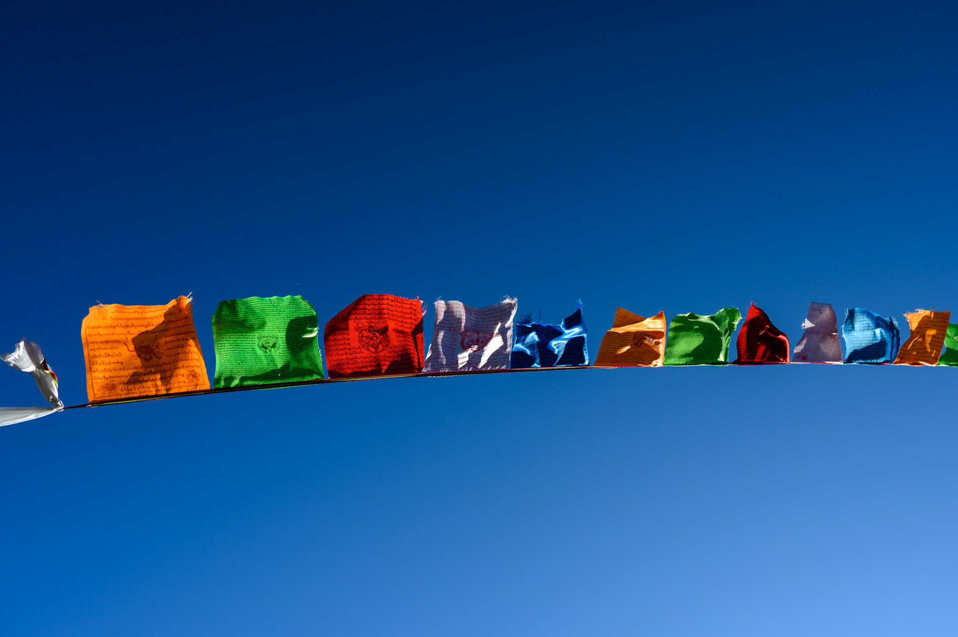 Prayer flags at Langtang