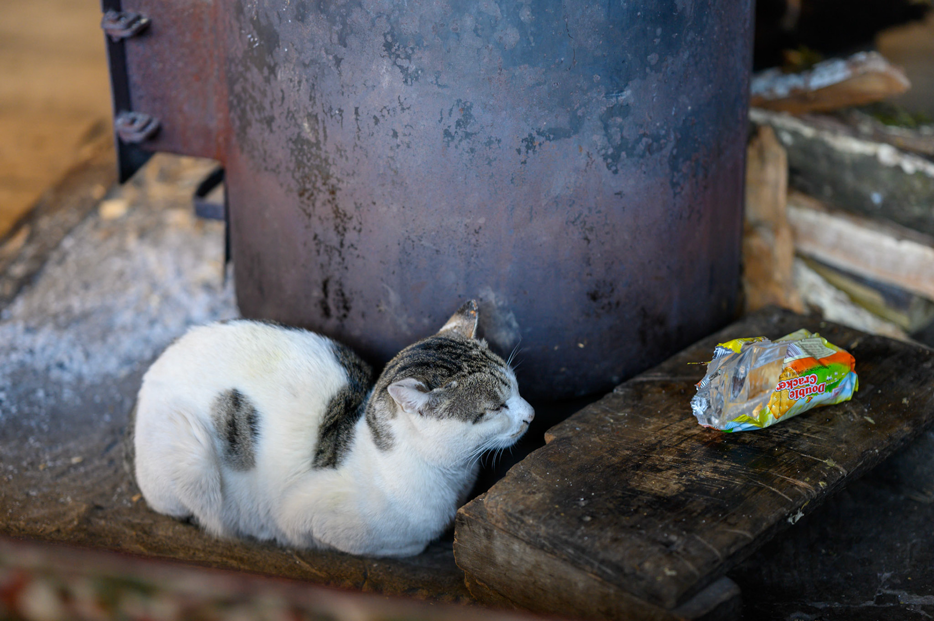 A cat at a tea stop drawing the last heat from the stove
