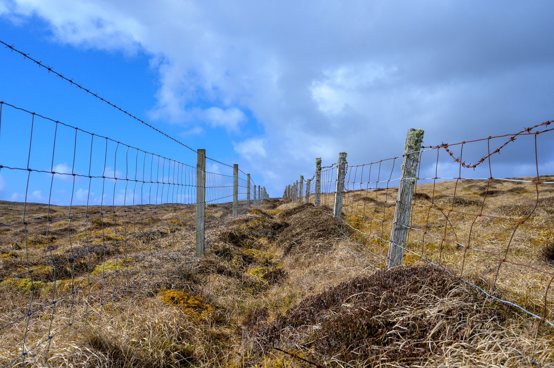 Old and new fences. 
The new fence has been built outside the old making a convenient path that goes nowhre in particular.