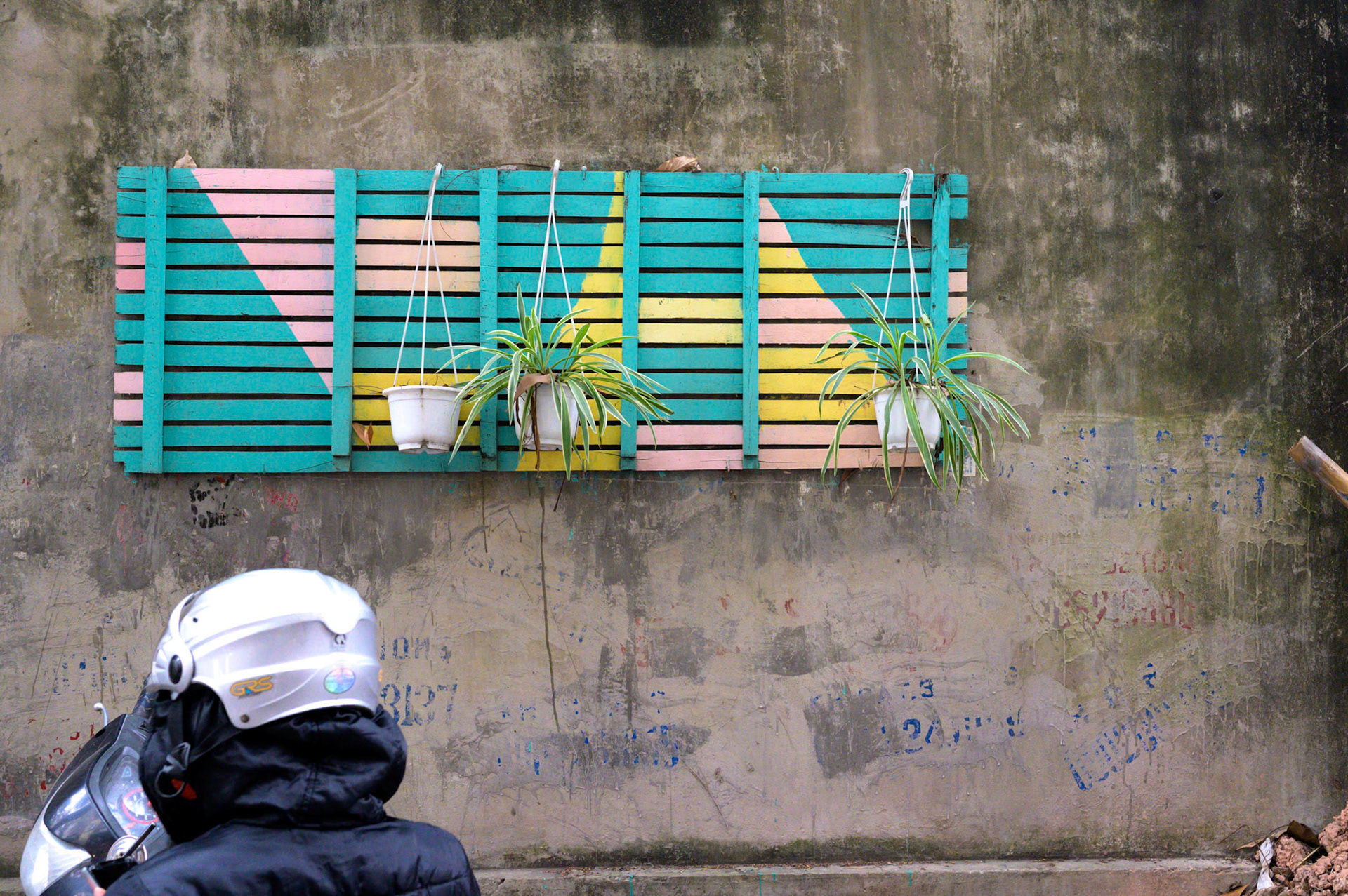 Plant hangers along a wall of San Hose Catherdal