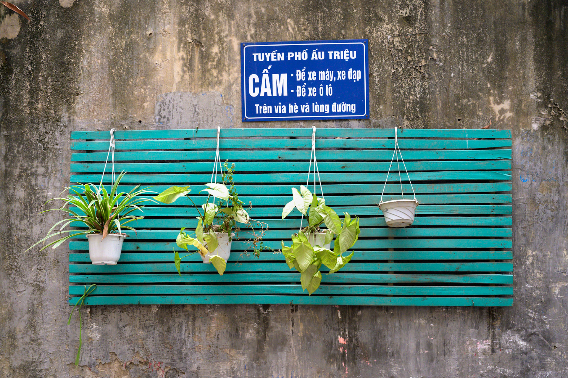 Plant hangers along a wall of San Hose Catherdal