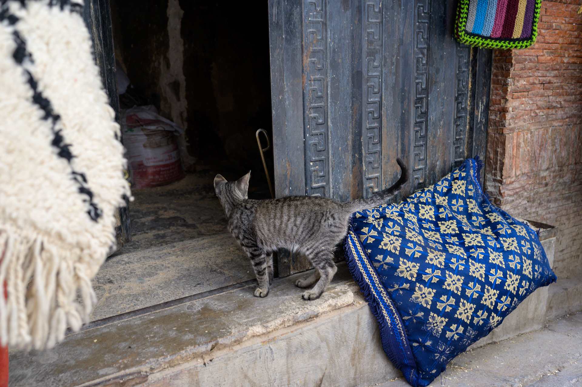 Sleeping in the mdeina. People will go around.