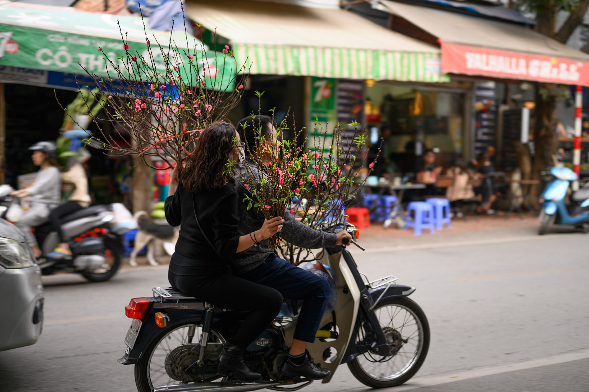 The day before Tet (Vietnamese new year) starts, the streets are a constant procession of trees - all sizes - tied to motocycles.