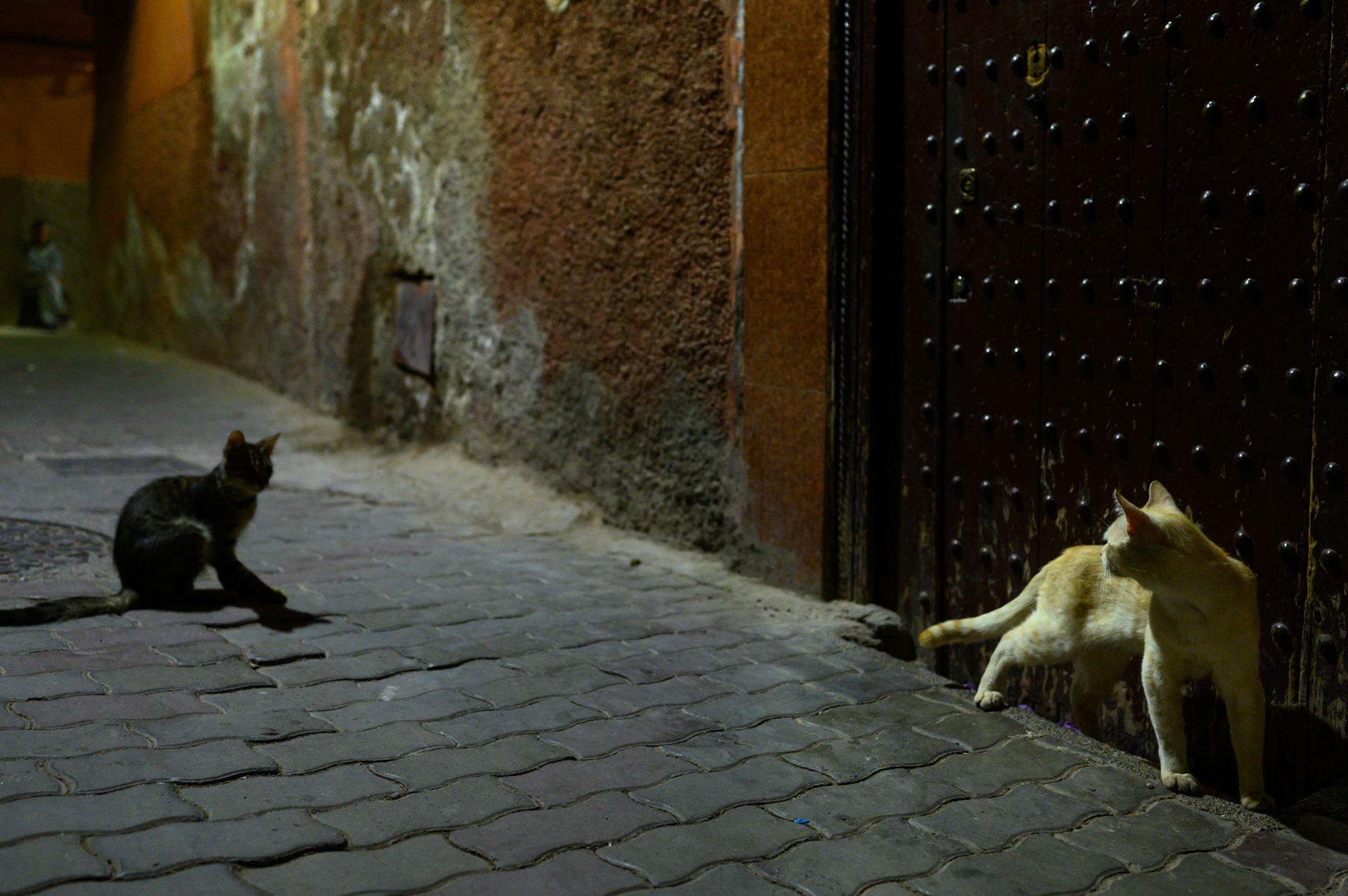 The relaxed lazing around of the day vanishes with the light. Night is more tense, wary.