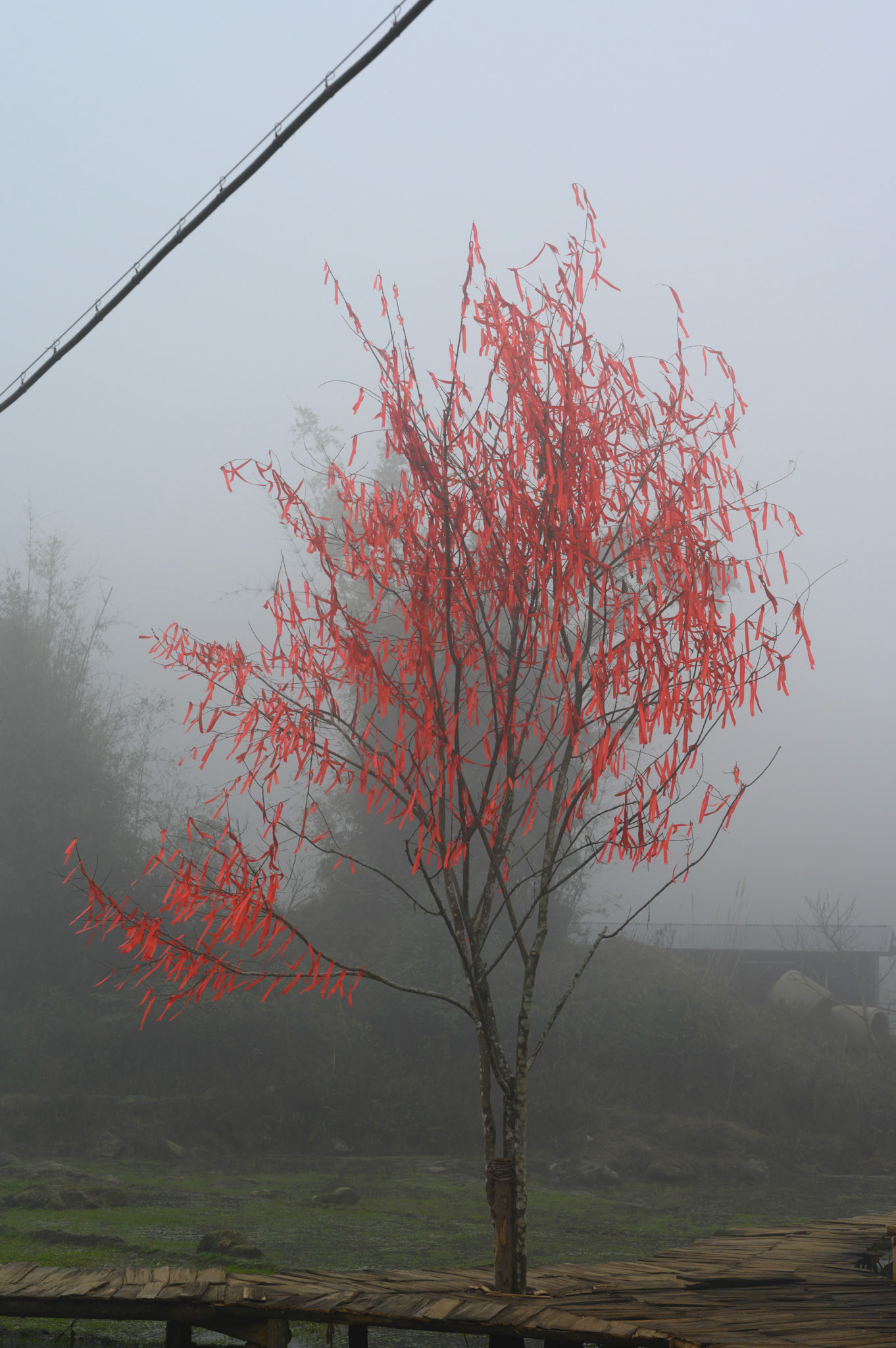 Cat Cat village showcases traditional agruculture and arts for tourists,. These water wheels were working anf lifting water.