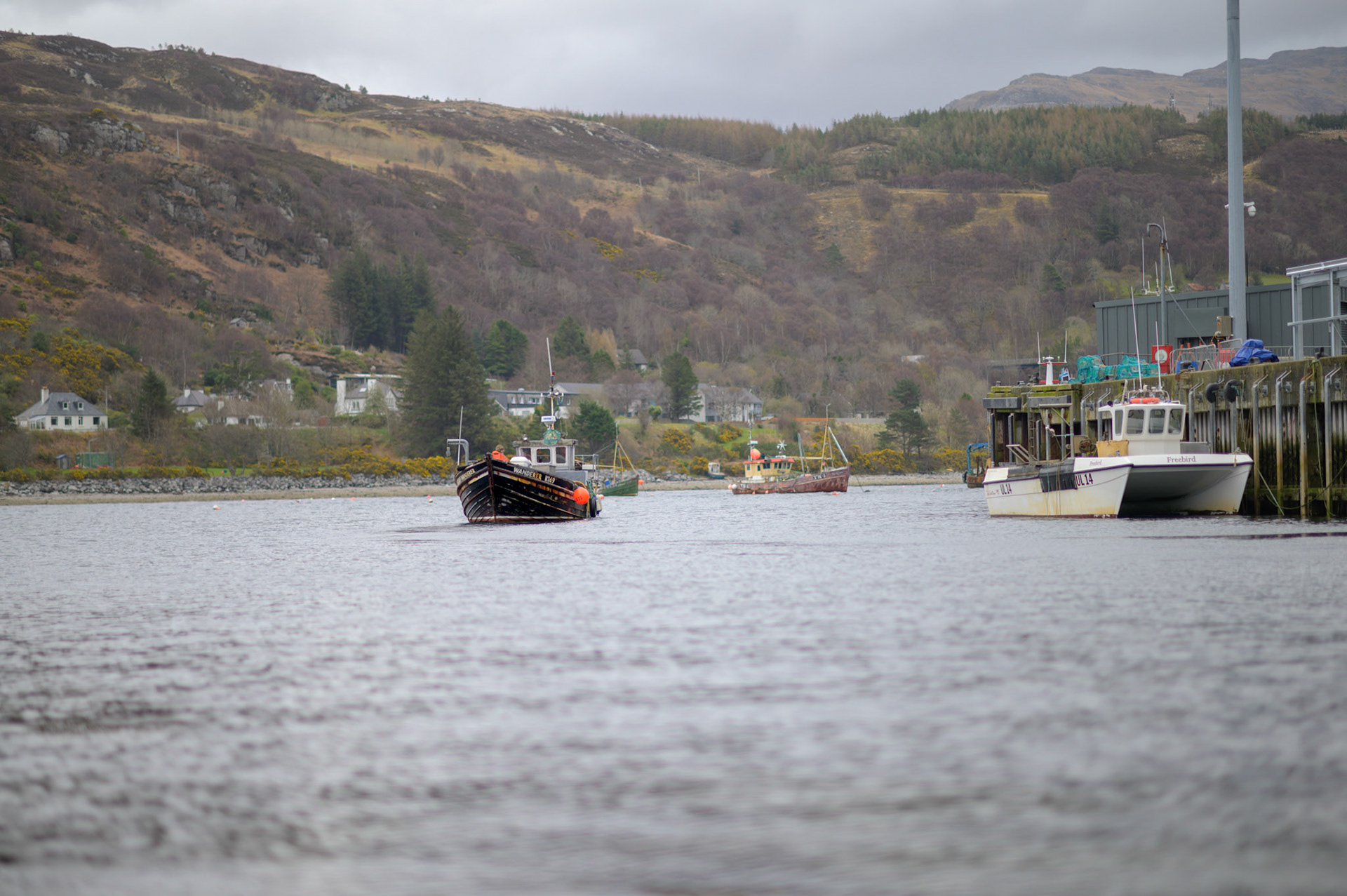 Back on the Scottish mainland at Ullapool harbour.