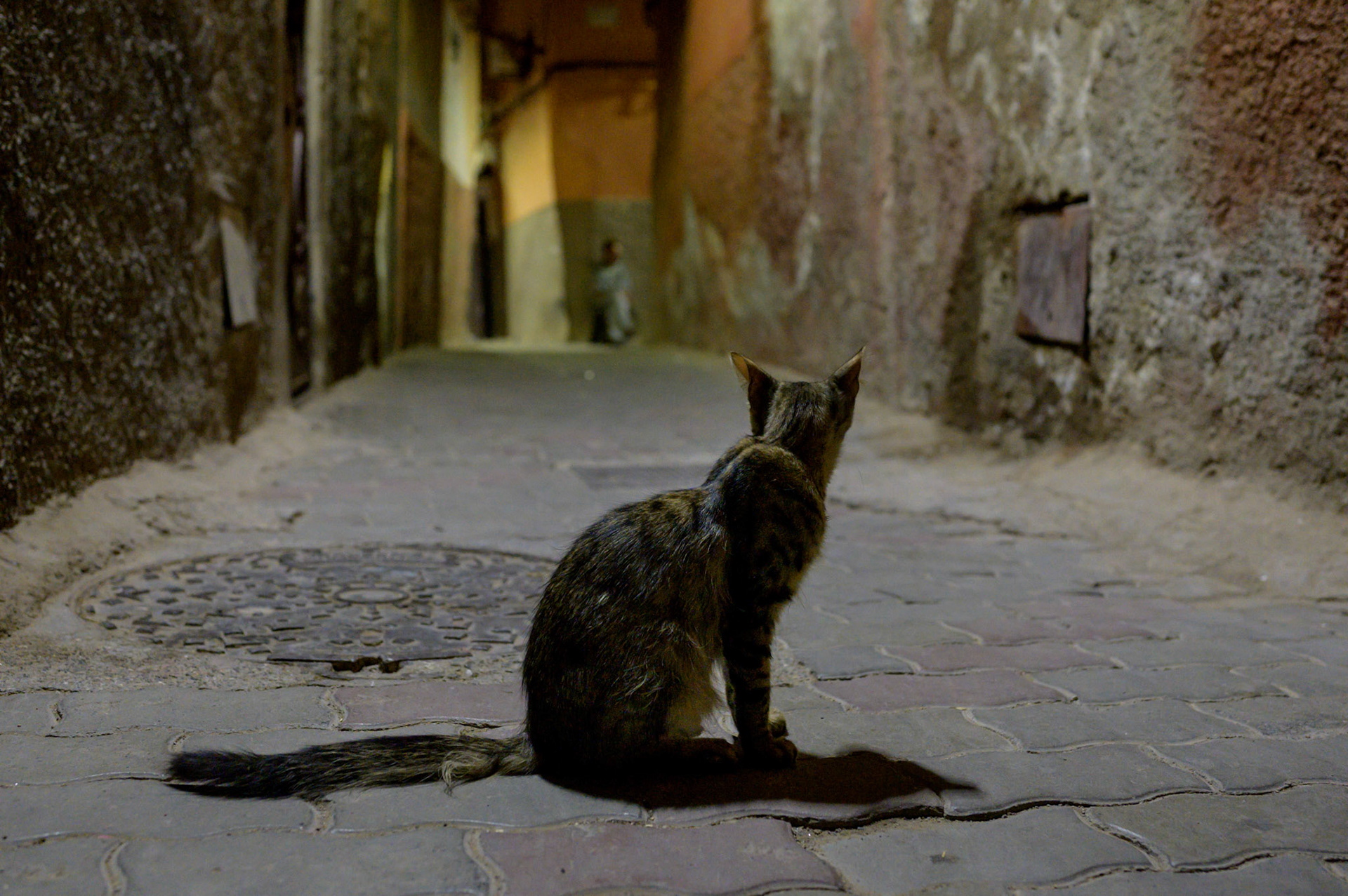 The relaxed lazing around of the day vanishes with the light. Night is more tense, wary.