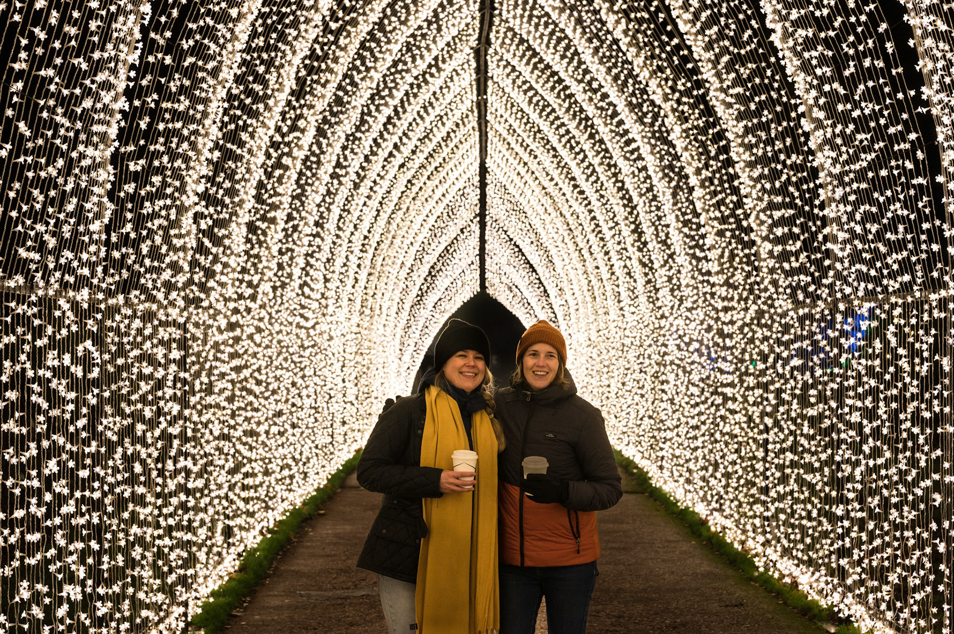 Edinburgh Botanical Gardens Lights