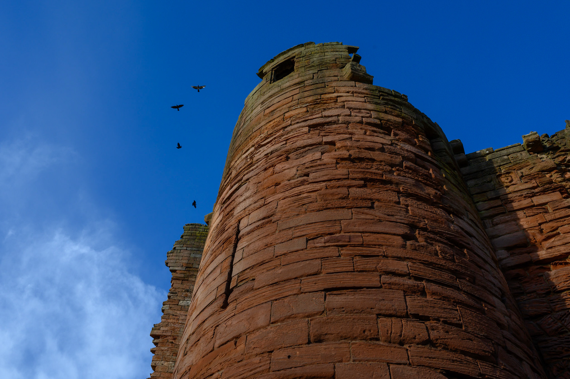 The remains of Bothwell castle, a possible scene in the Mary Queen of Scots drama.
Important note to castle builders: red sandstone might look very dramatic but it doesn't last. Much of the castle is flaking away into red dust.
