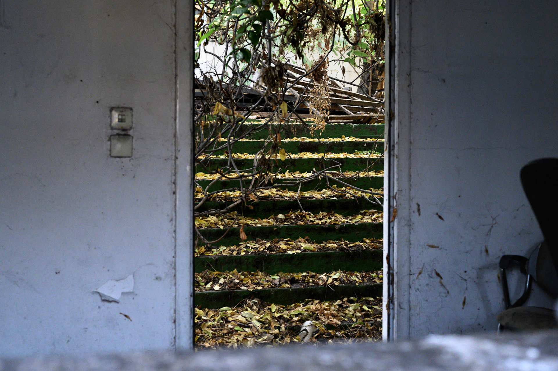 Abandoned theatre, appears to be something of a cat hotel.
The building was demolished two weeks later.
