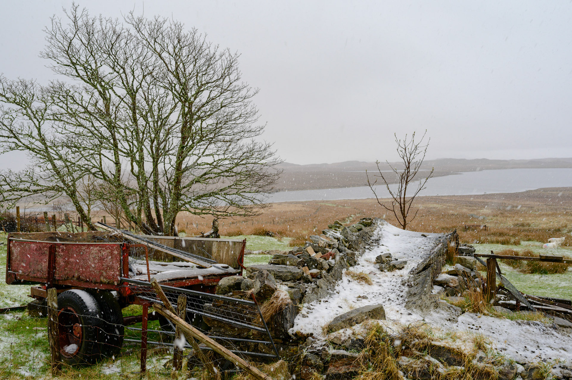 Picture postcard scenery by the road between Stornoway and Tarbet.