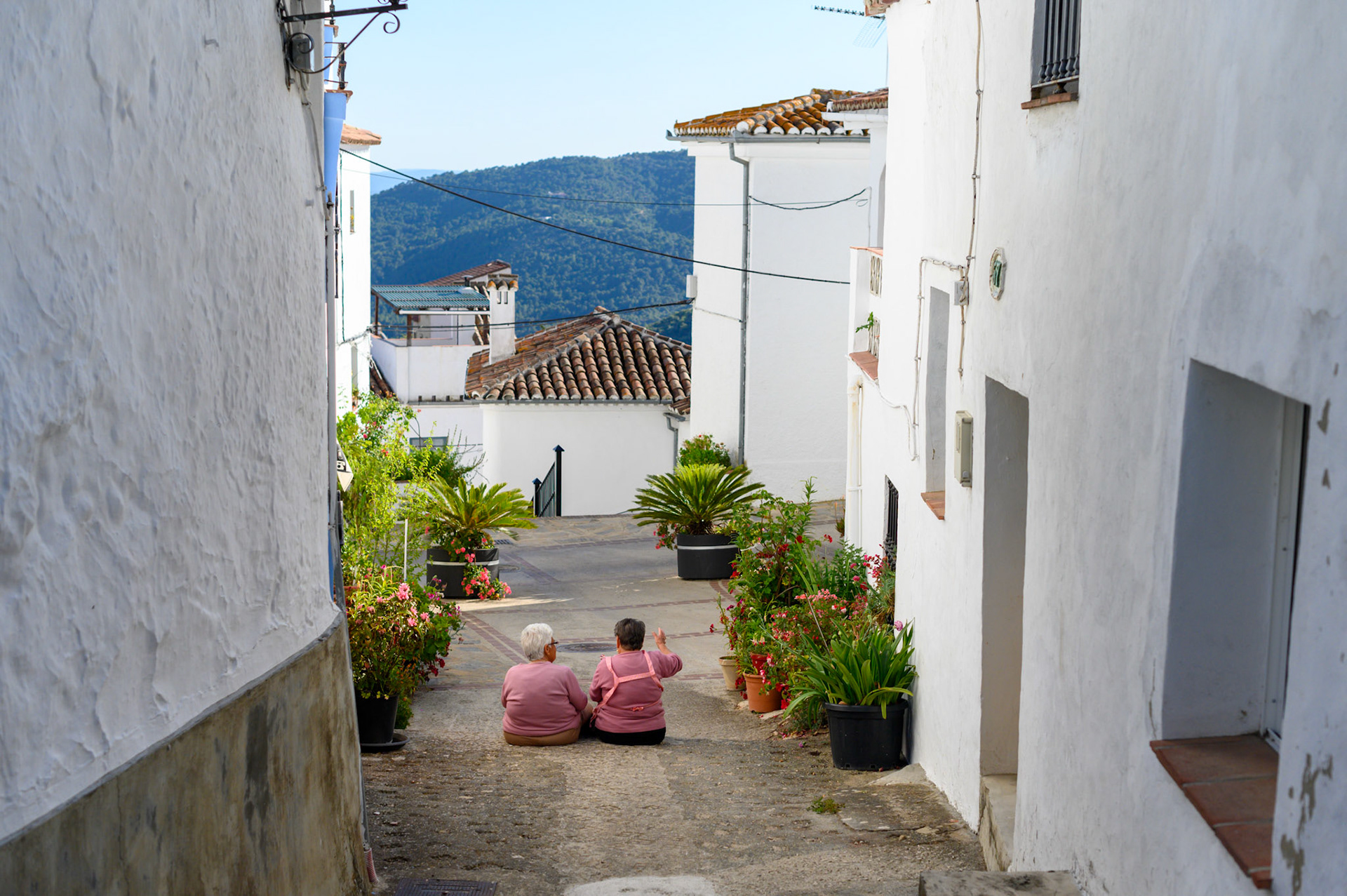 Matching women relaxing on a summer's evening.