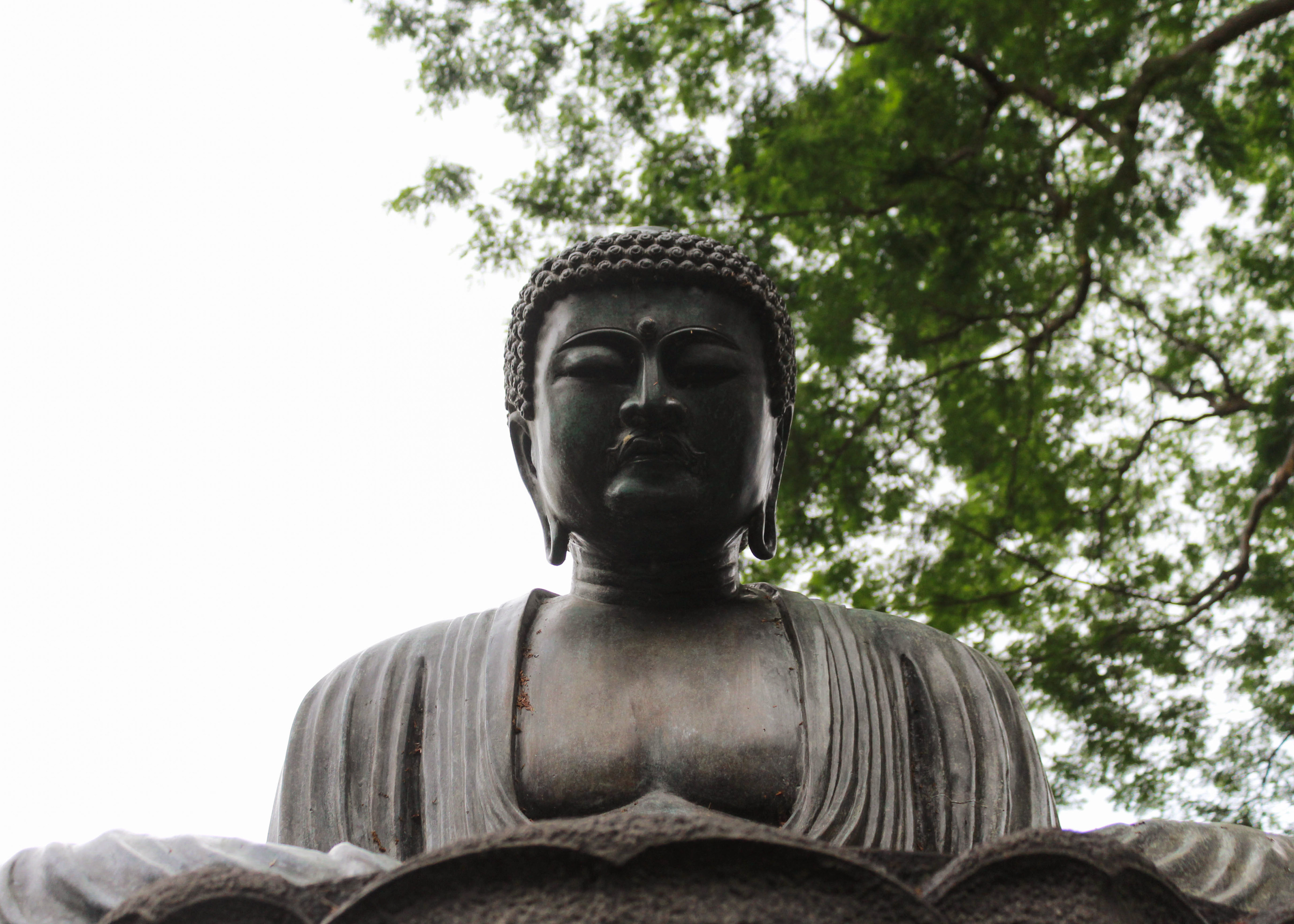 Daibutsu at the Foster Botanical Garden.