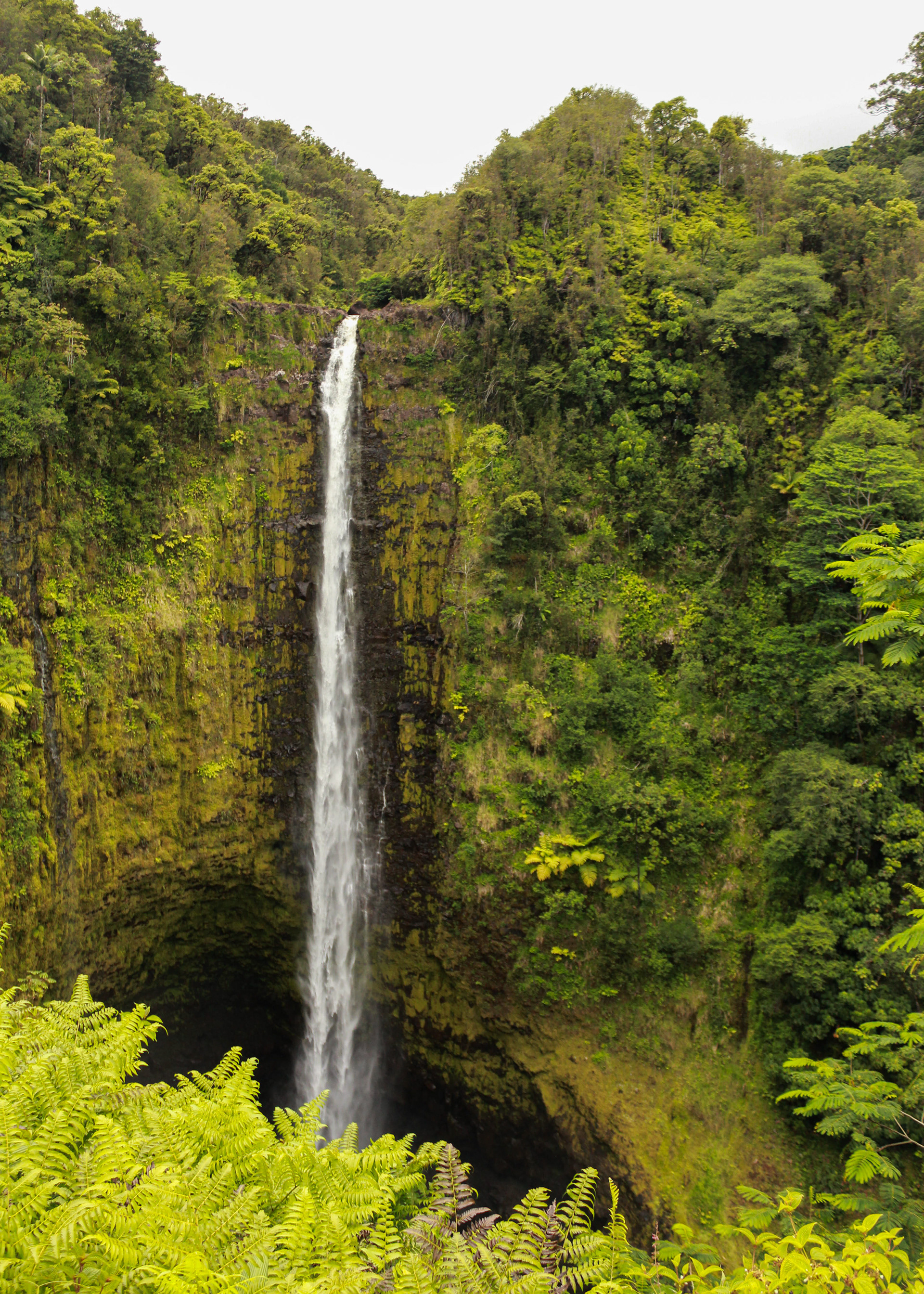 Akaka Falls