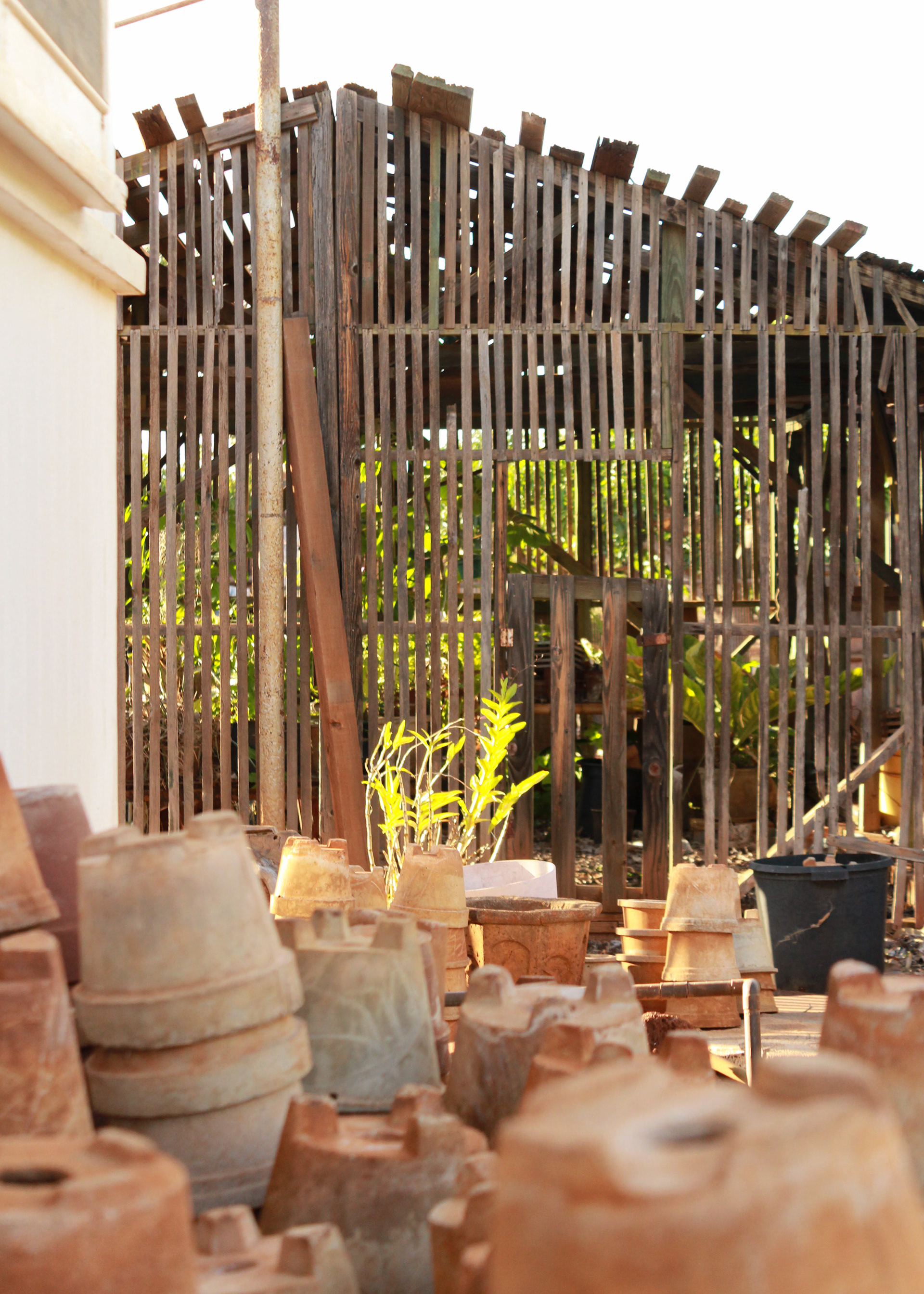 Handmade cement pots stacked by the hothouse.