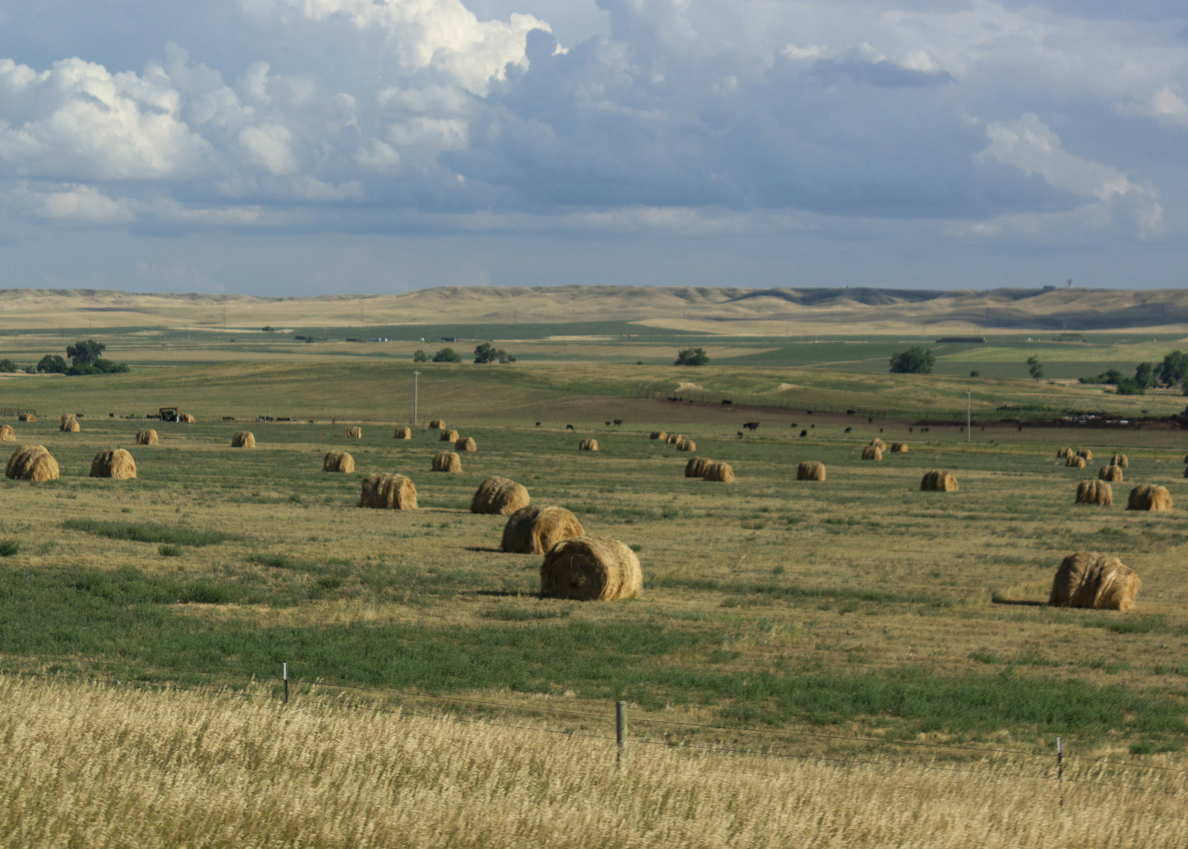Hay bales