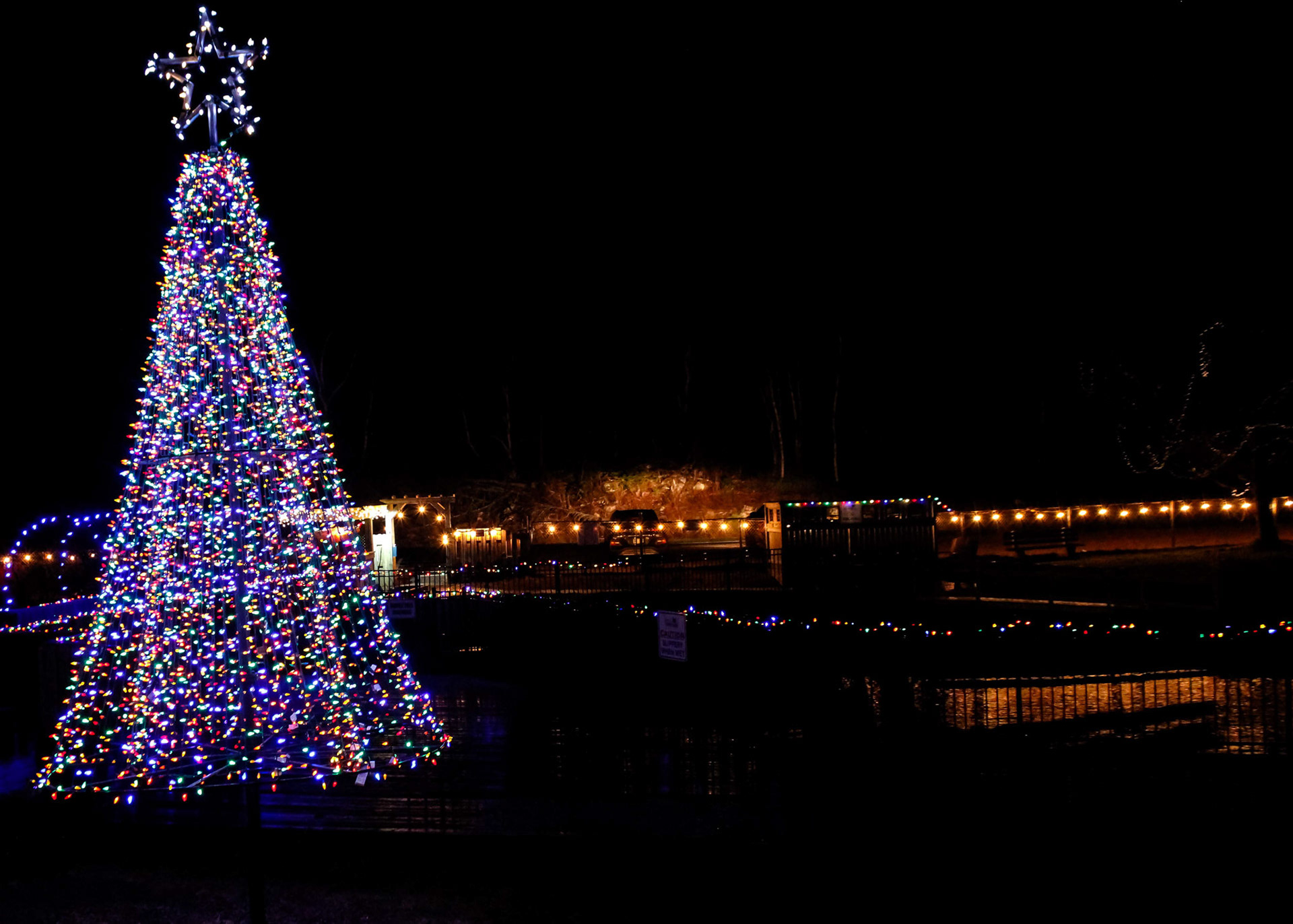 Christmas at Holyrood Park, Newfoundland
