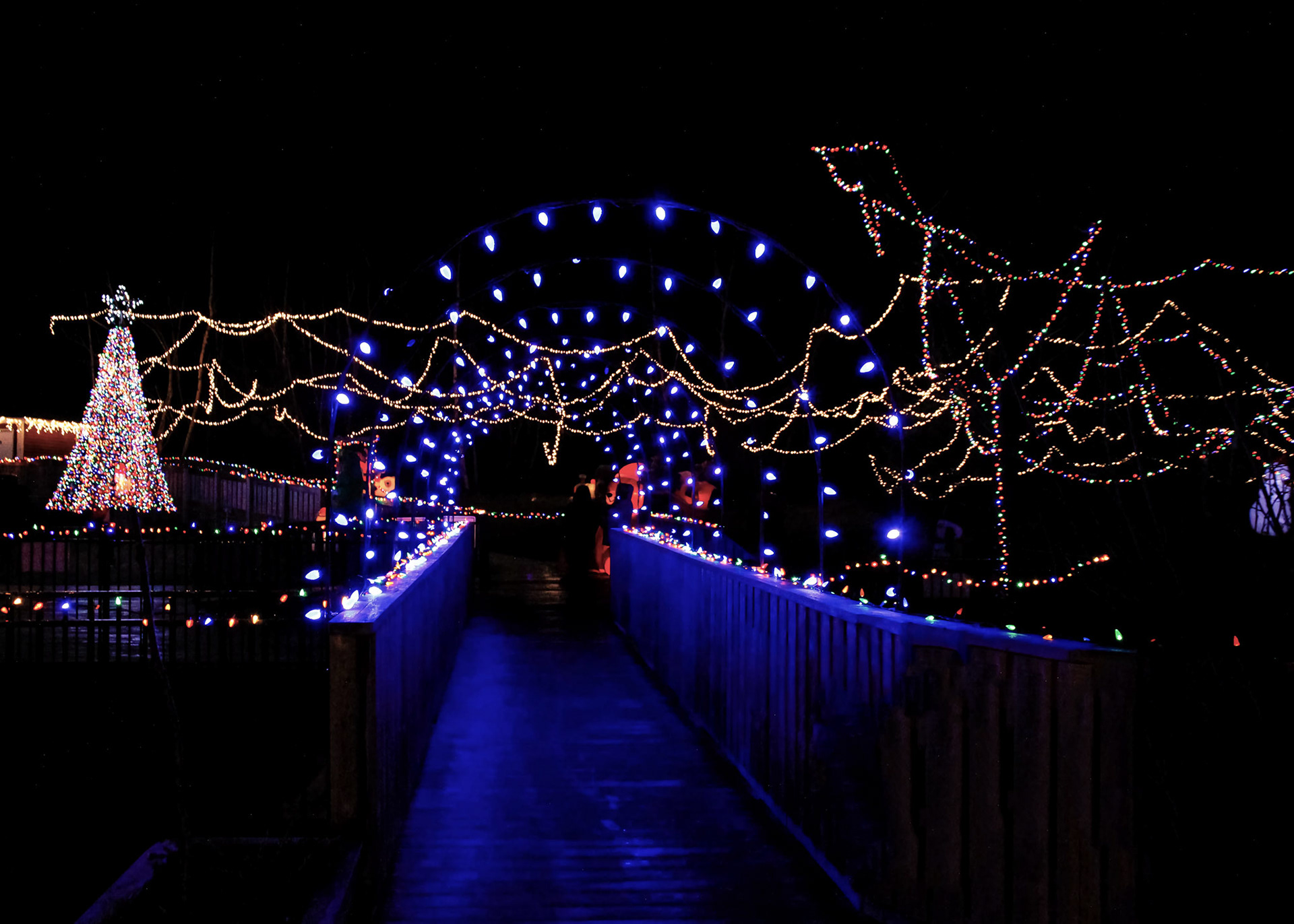 Christmas at Holyrood Park, Newfoundland