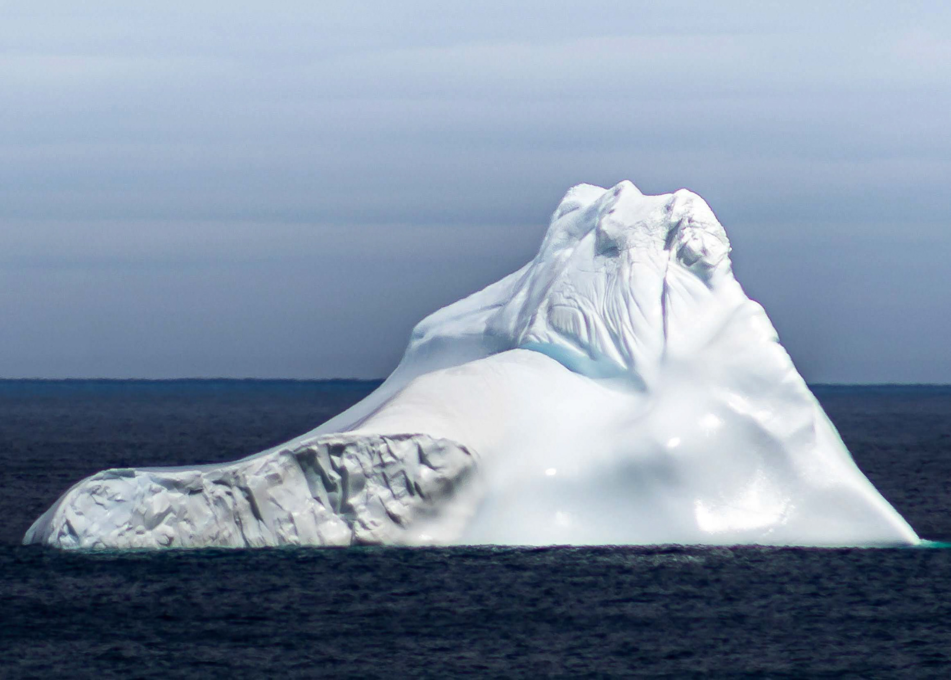 Iceberg in Pouch Cove Harbour