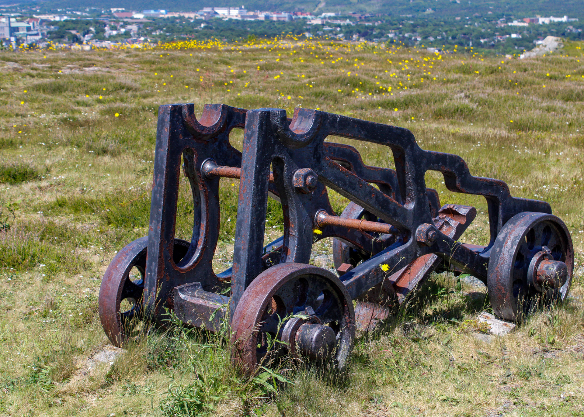 Field cart on a grassy field at Signal Hill