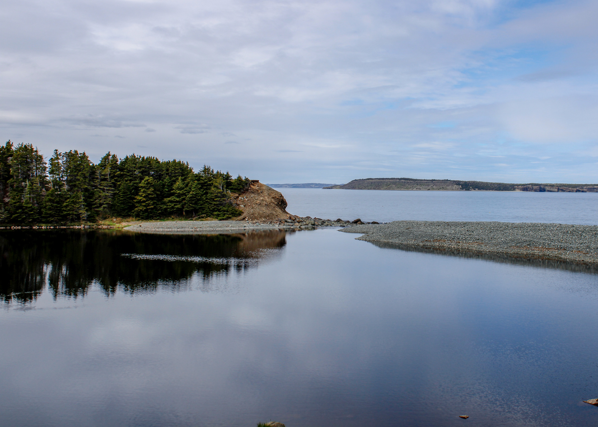 River meets the mouth of the ocean on the Manuels River Trail