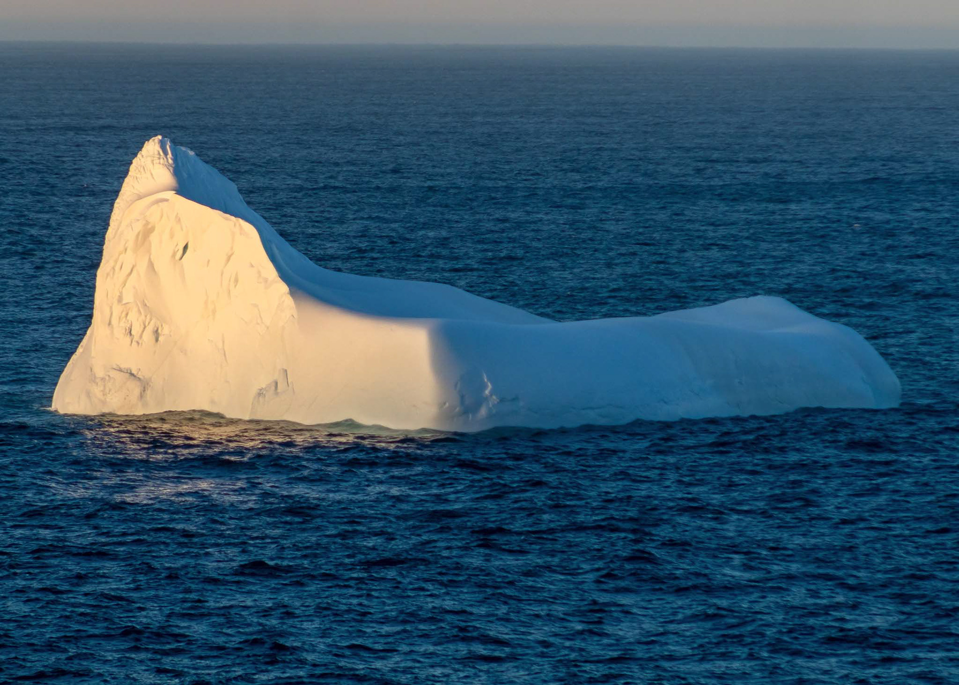 Iceberg in Pouch Cove Harbour