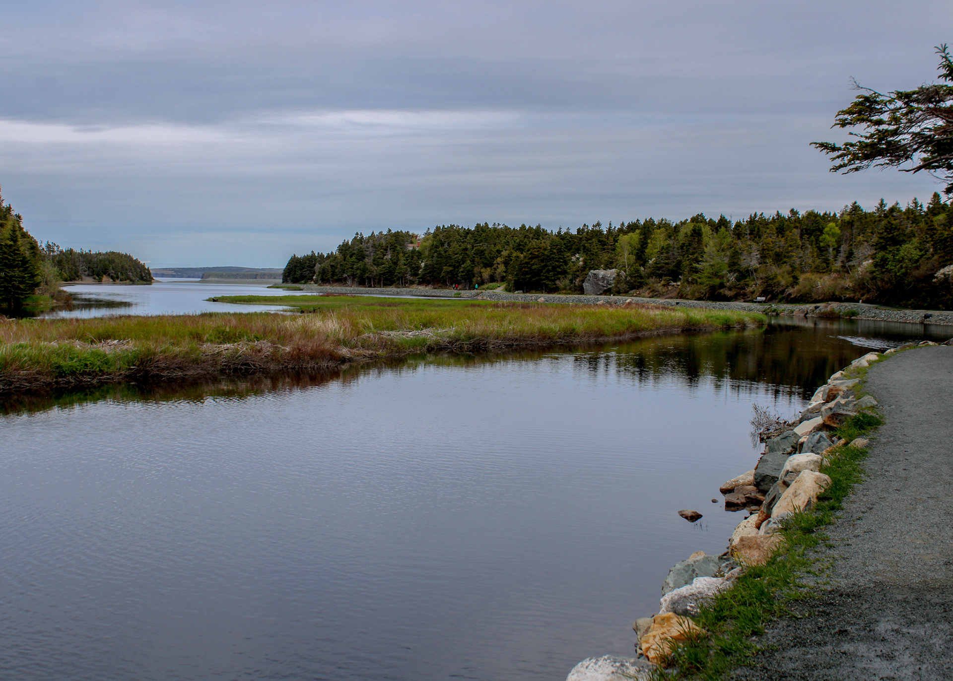 Manuels River Trail walking path, Conception Bay South, NL