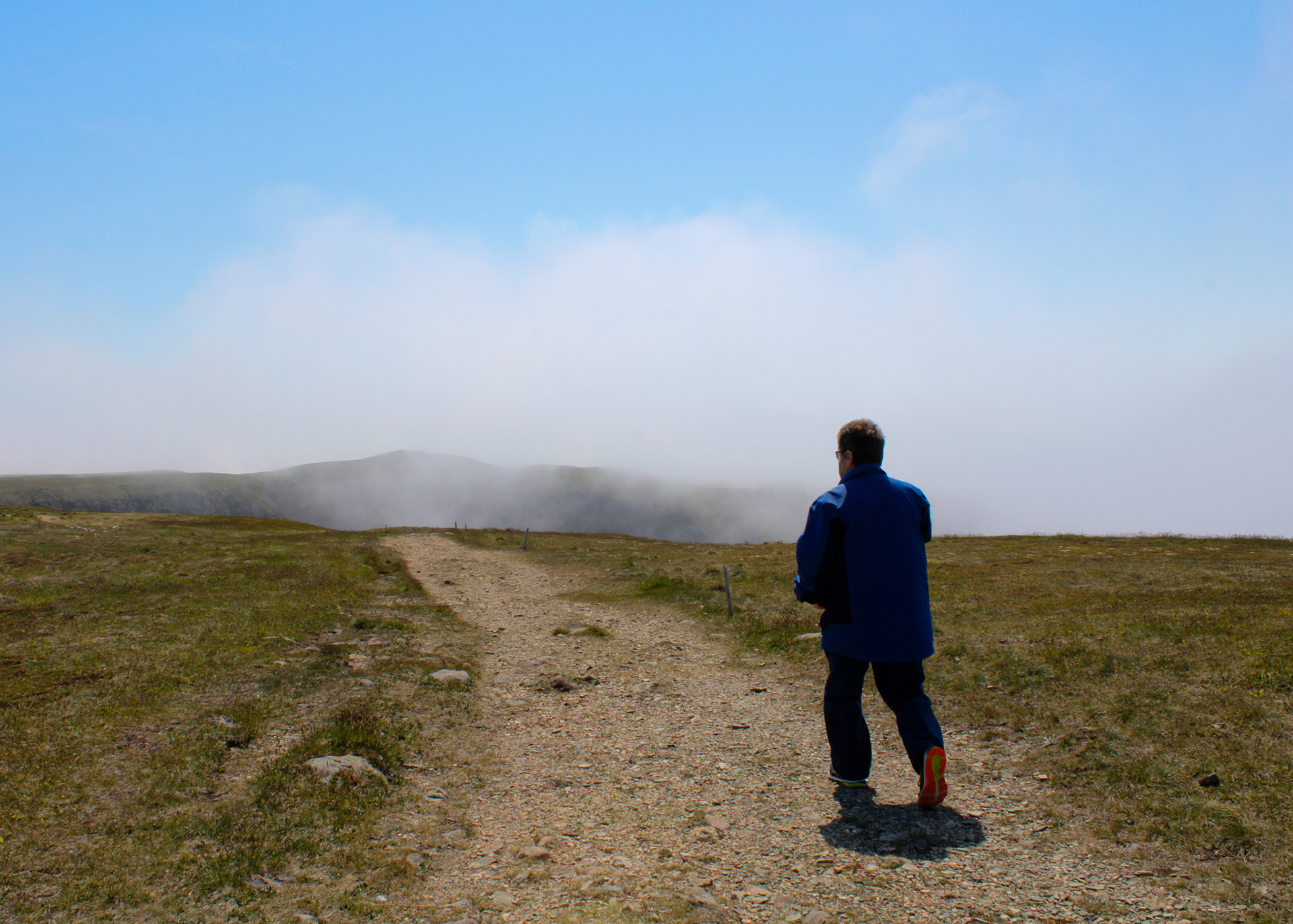 Fog on the coast along the trail to bird rock, Cape St. Mary's ecological reserve, Newfoundland