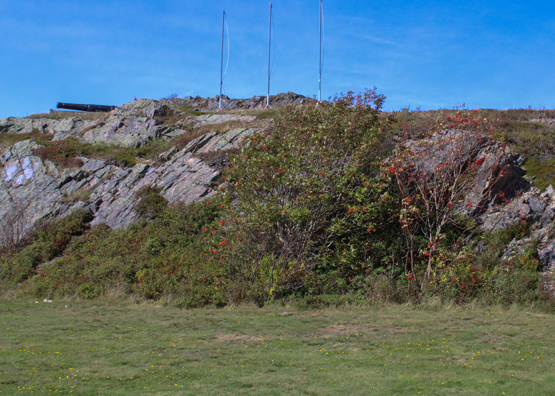 Canon atop Gibbet Hill, St. John's, Newfoundland