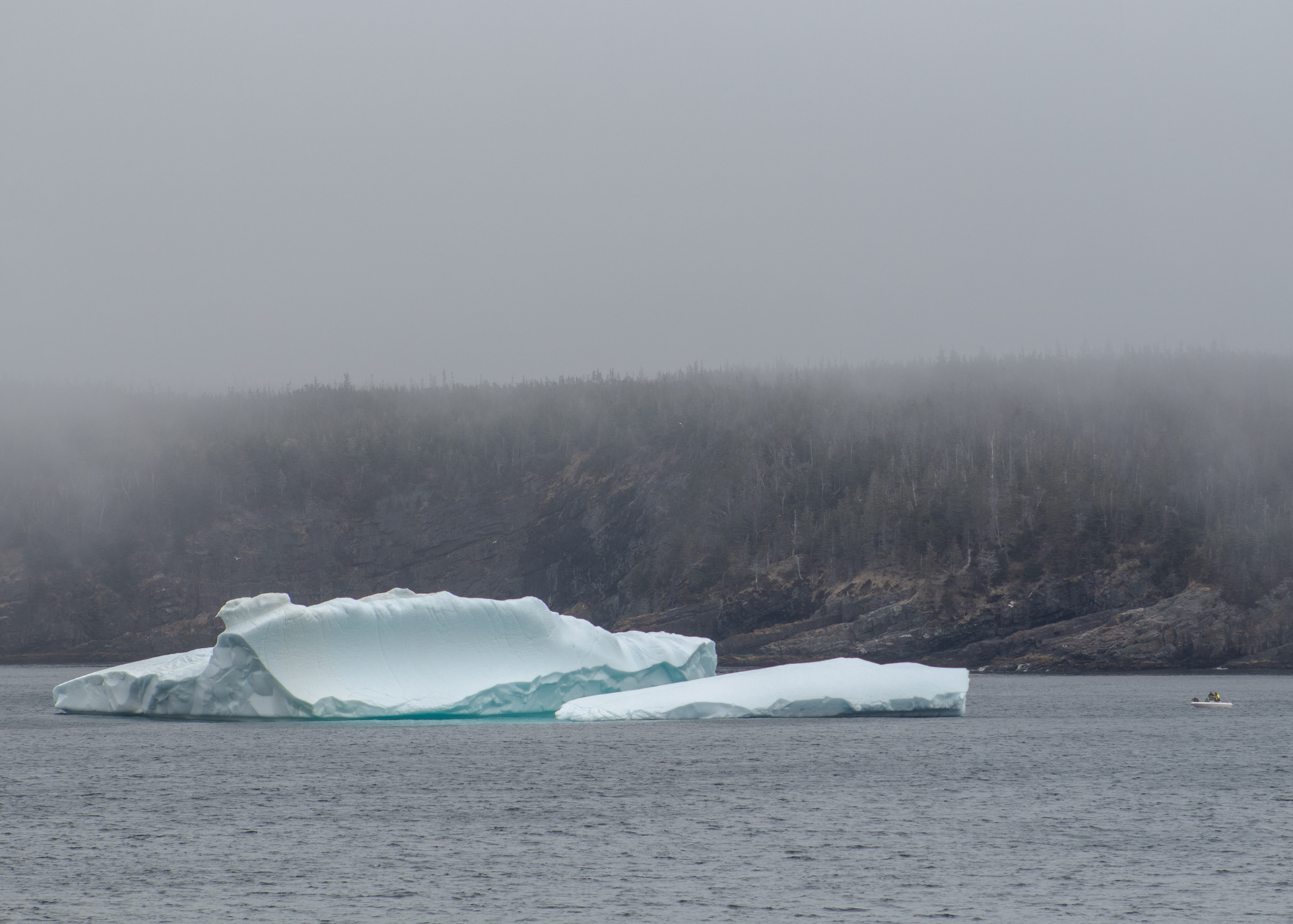 Icebergs in Bay Bulls, Newfoundland