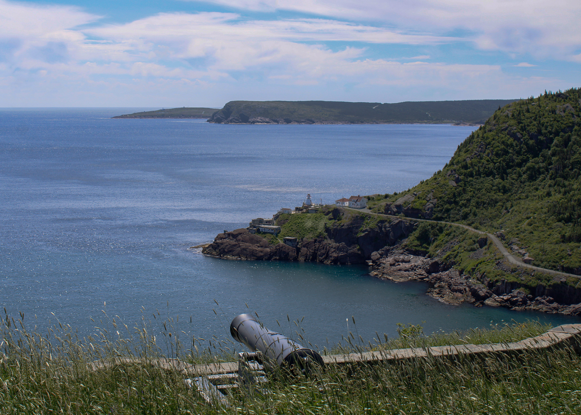 Canon on the cliffs of Signal Hill overlooking Fort Amherst, Newfoundland