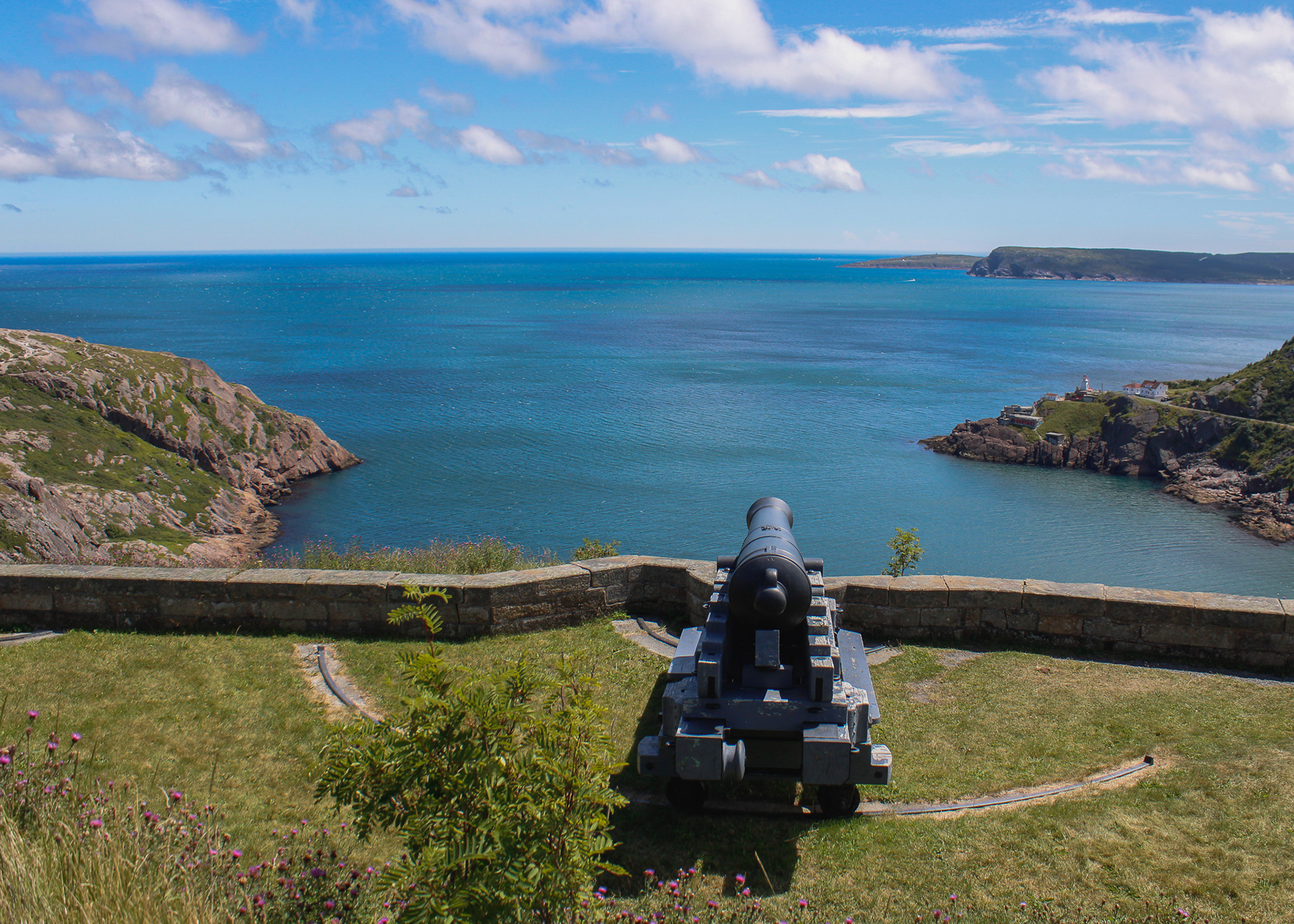 Canon atop the Cliffs of Signal Hill