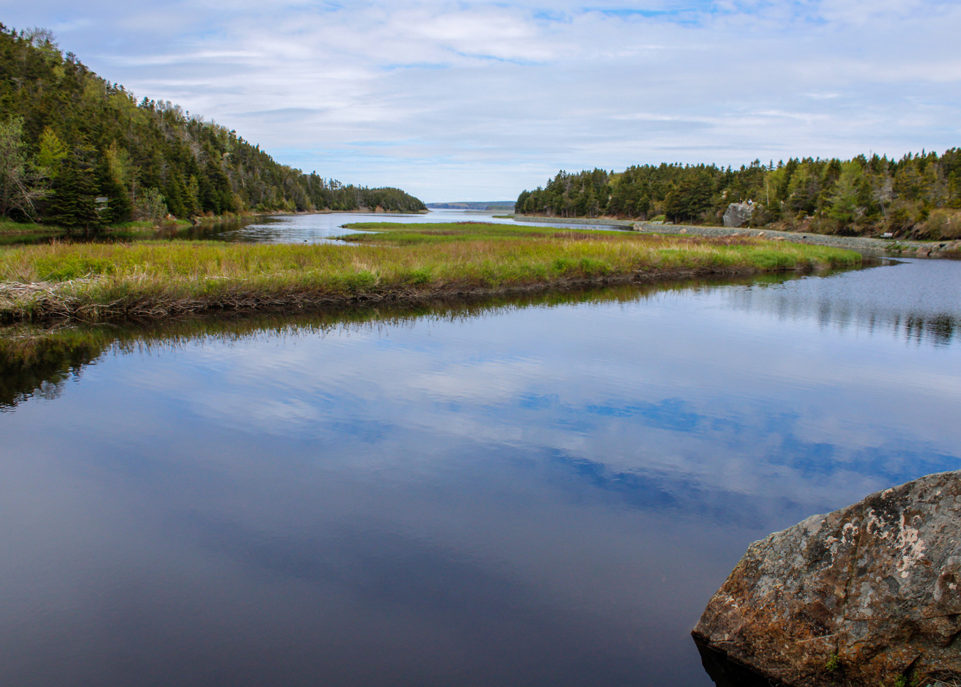 Trees and wetland on the Manuels River Trail, CBS, NL