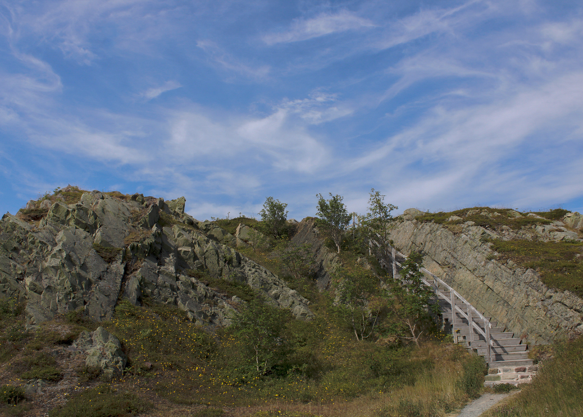 Stairs leading up the cliff at Gibbet Hill, Signal Hill