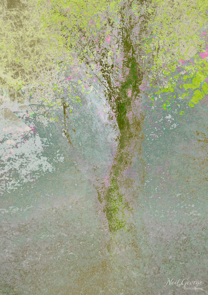 (Un)Changing - Spring (Ltd Ed)