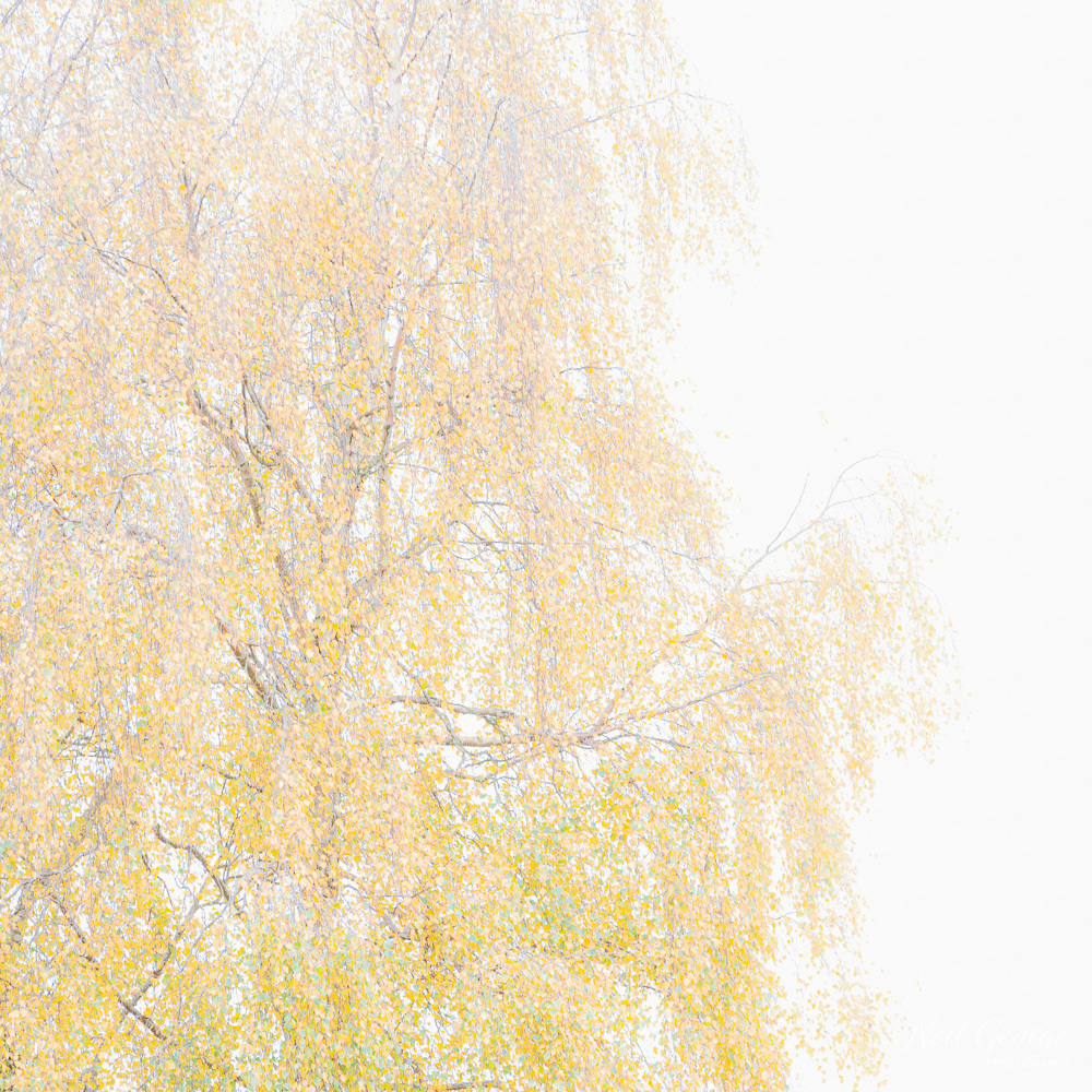 Autumn is Coming (Ltd Ed)