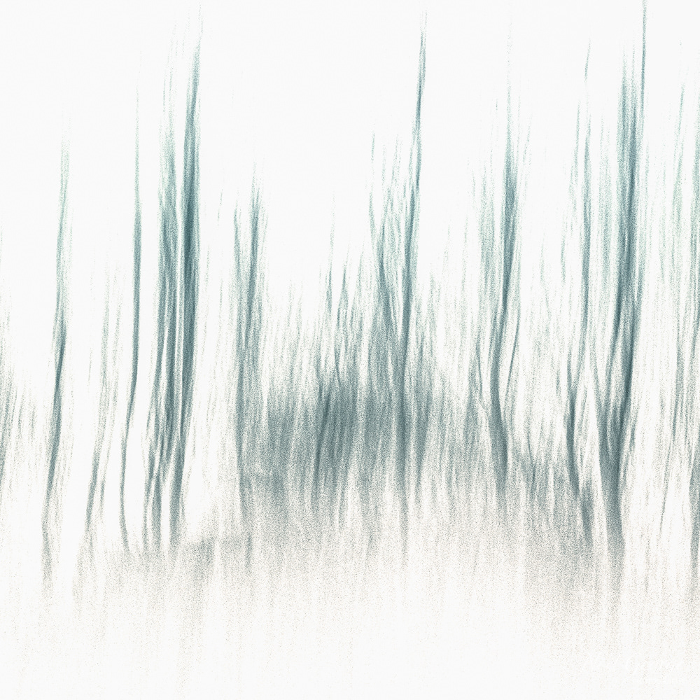 In the Bleak Midwinter (Ltd Ed)