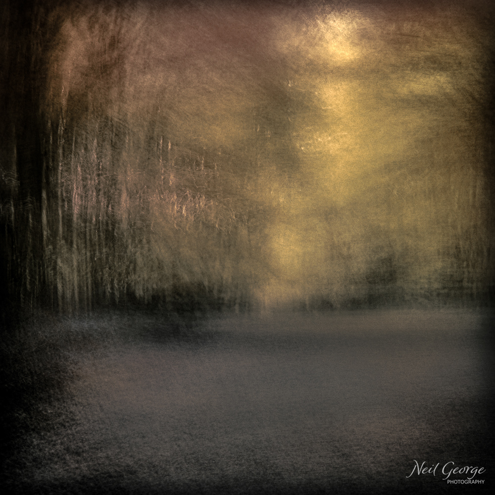 Winter's Dawn (Ltd Ed)