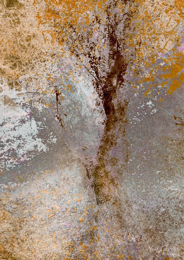 (Un)Changing - Autumn (Ltd Ed)