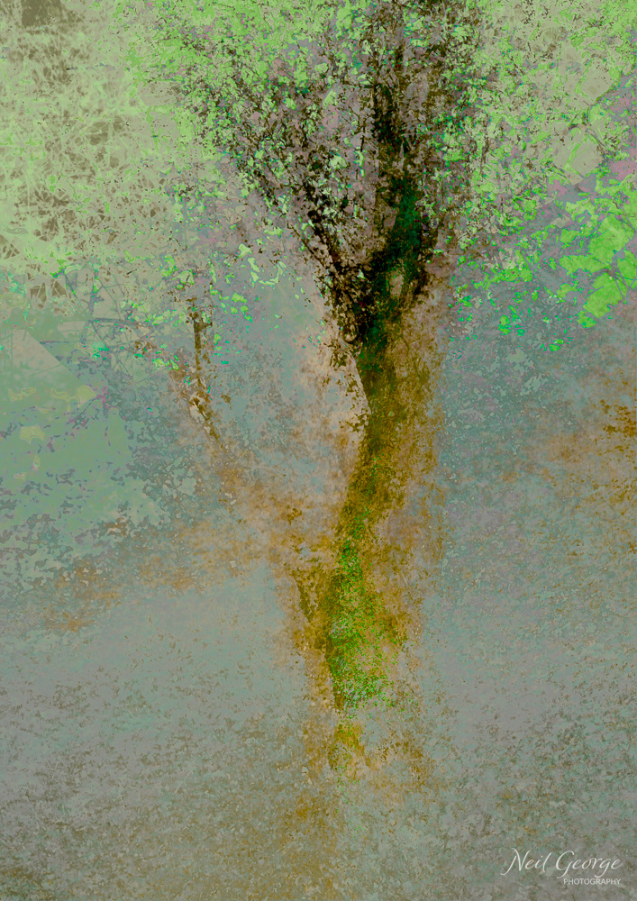 (Un)Changing - Summer (Ltd Ed)