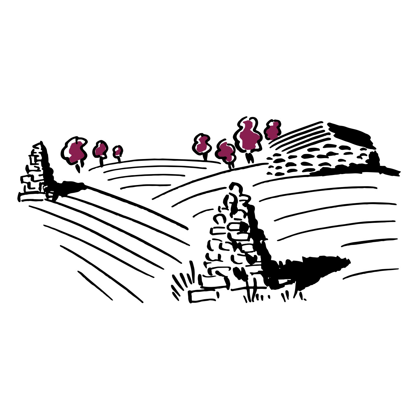 2009: Gründung des Weinguts Mas des Quernes mit 12 ha Weinbergen im Languedoc, zusammen mit Freund und Önologe Jean Natoli.