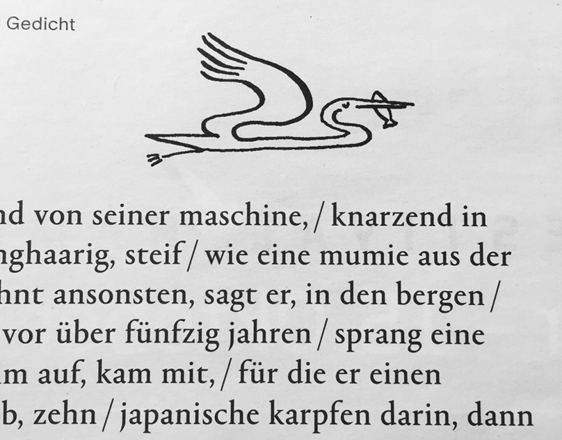„alter biker“ von Jan Wagner; LITERATUR SPIEGEL 9/2018